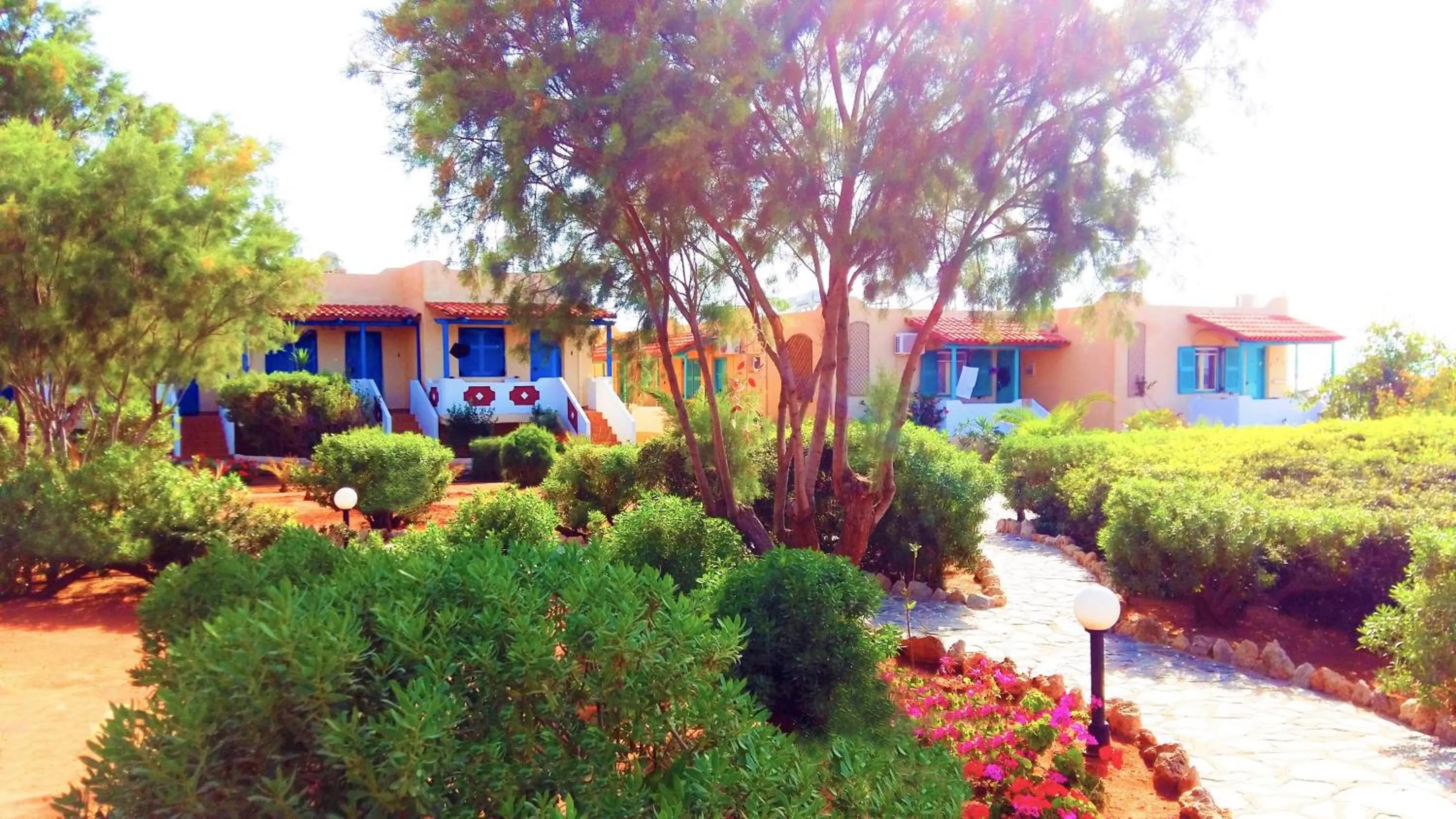 Property building in Zorbas Beach Village Hotel