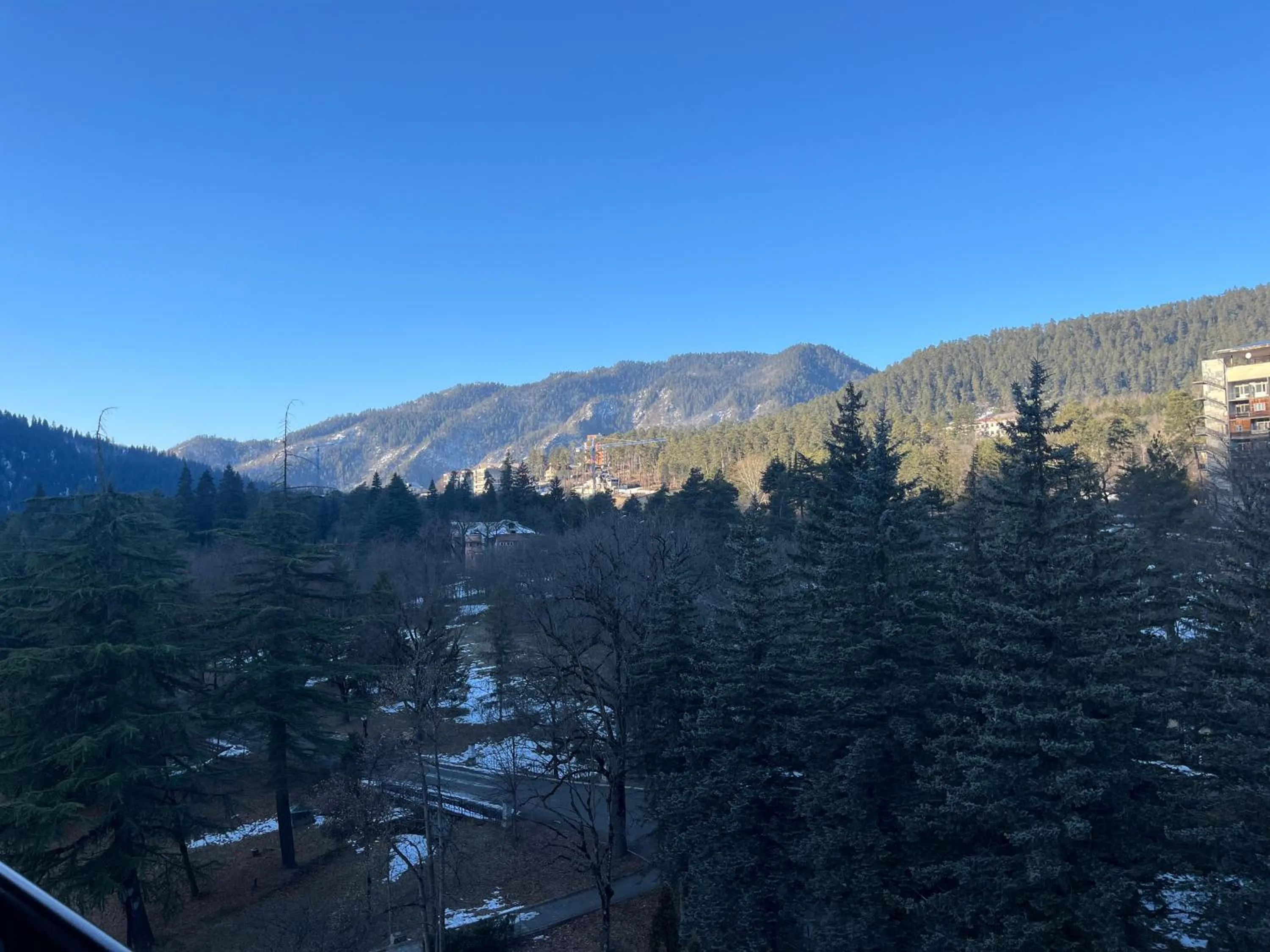 View (from property/room) in Borjomi Likani Health & Spa Centre