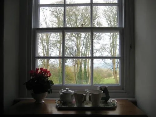 Prospect Cottage