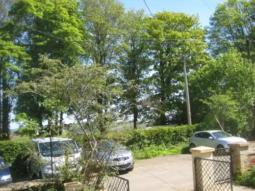 Prospect Cottage
