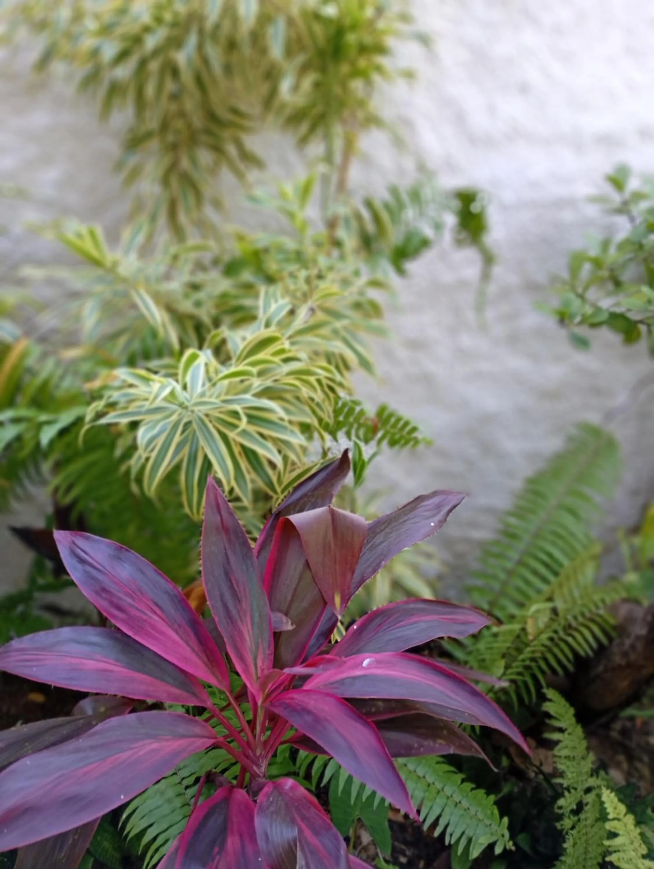 Pousada Brisa Del Mar