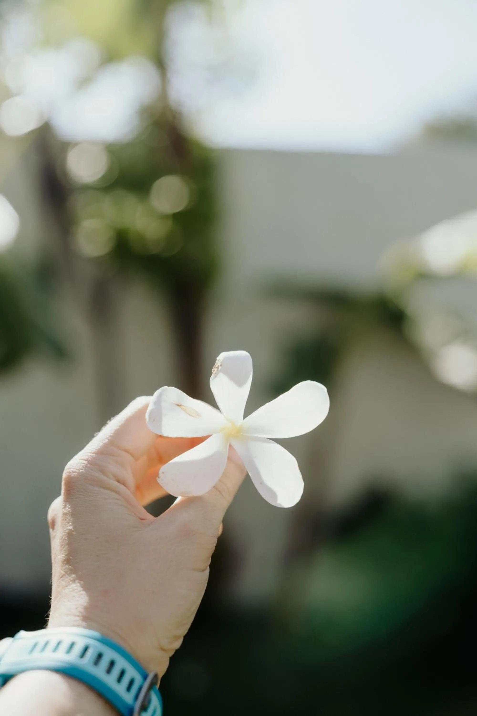 Pousada Brisa Del Mar