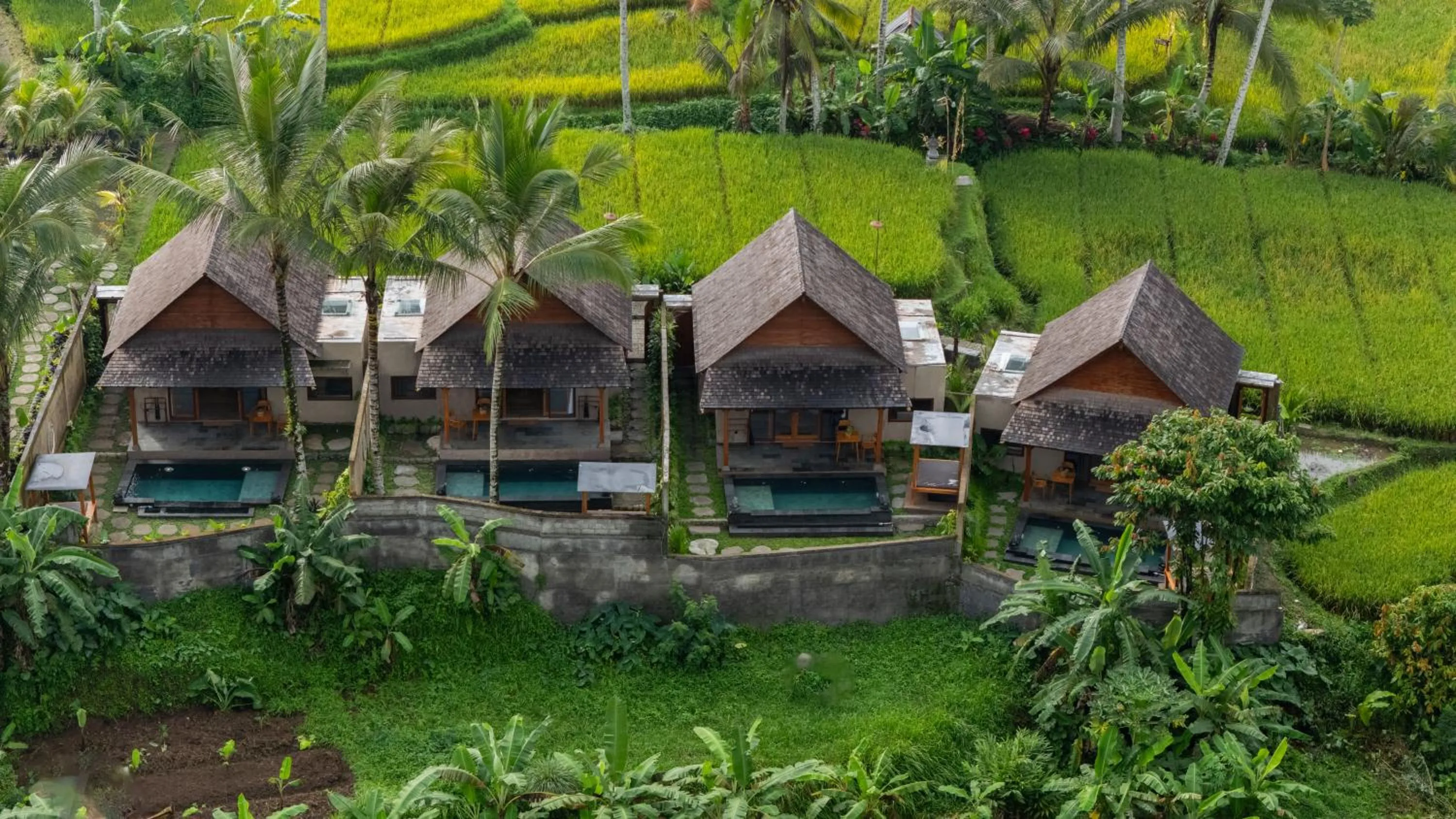 Natural landscape in Moonterra Villa Sebatu
