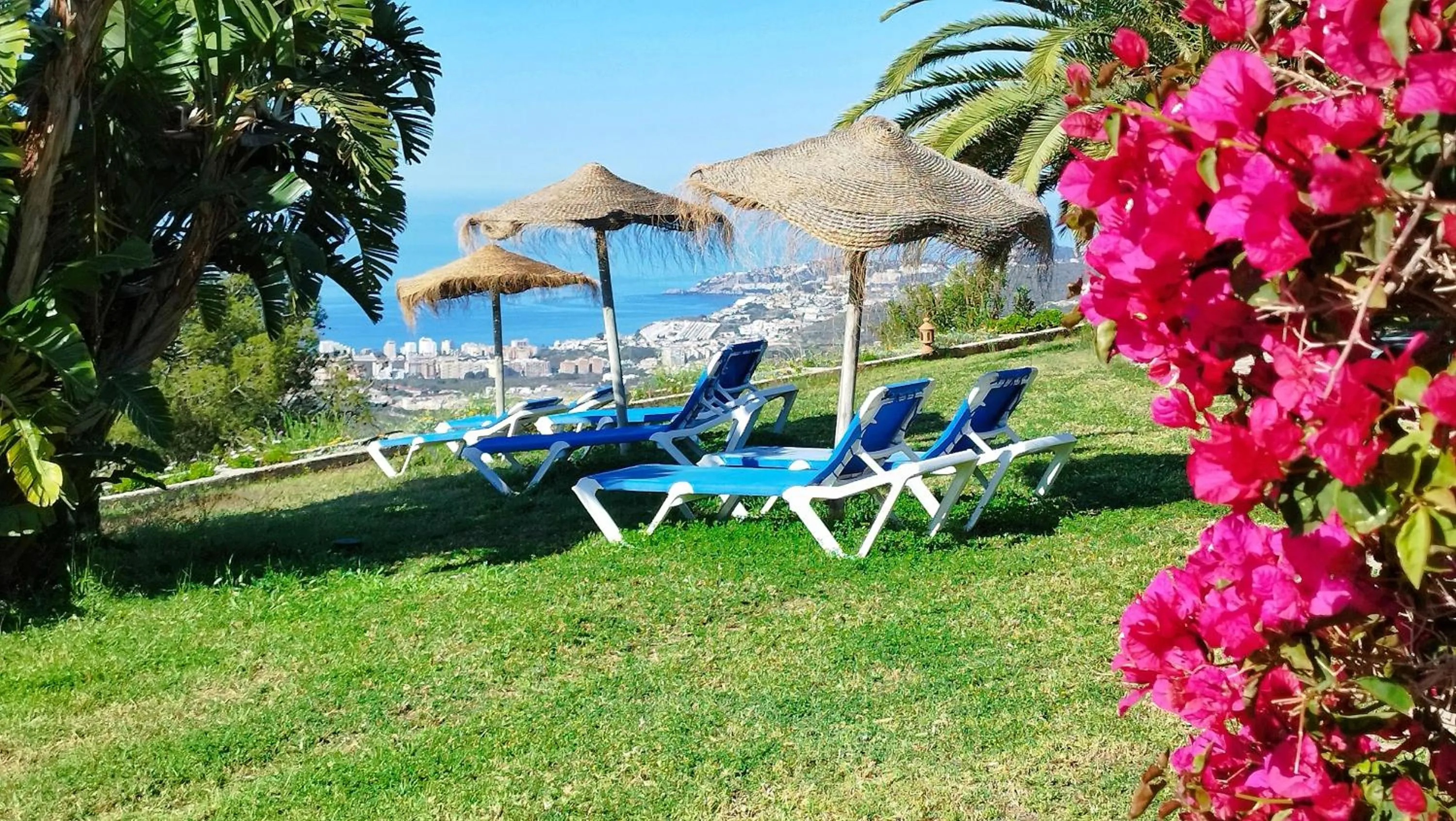 Garden in Hotel Cortijo de la luna