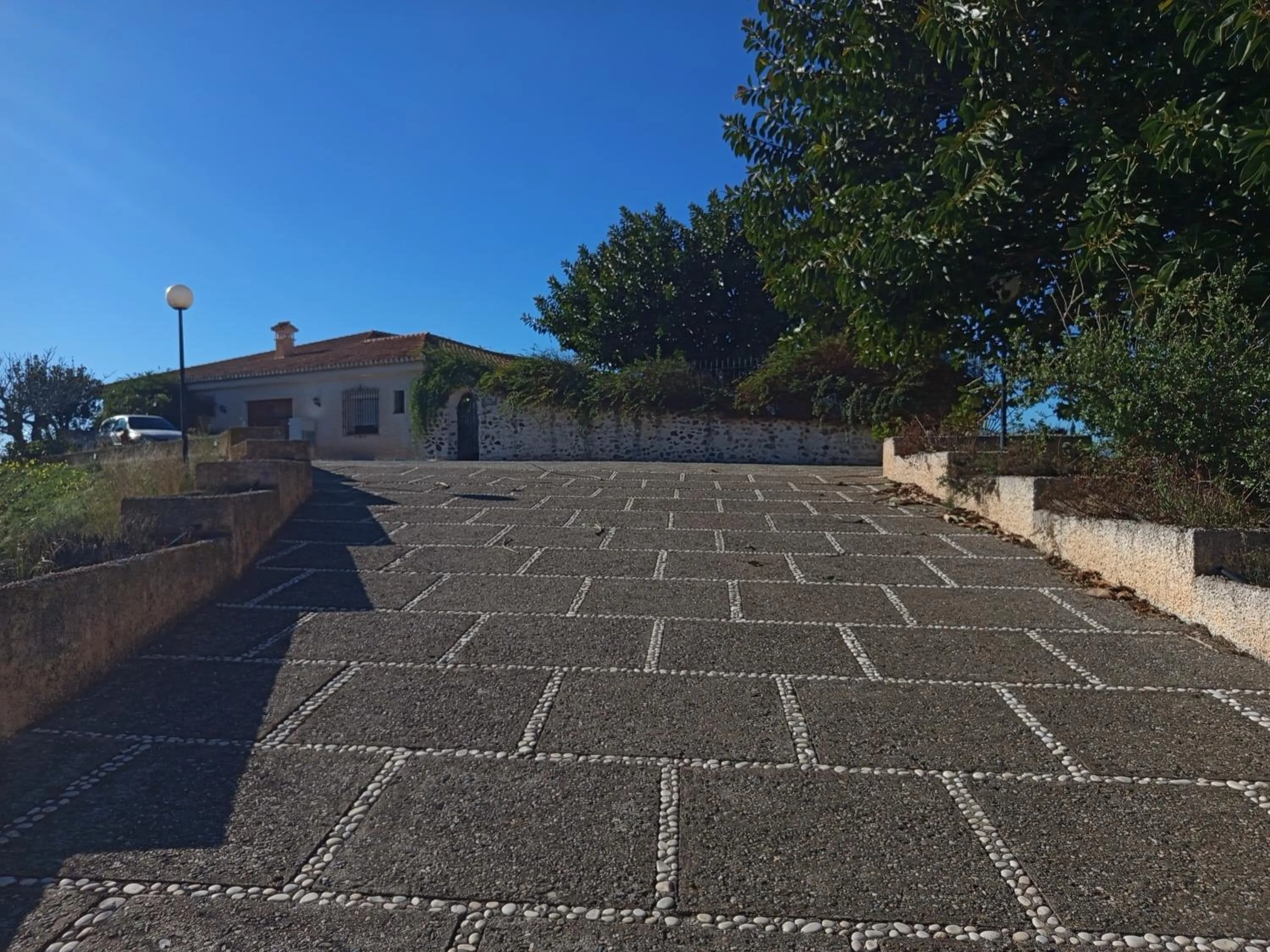 Area and facilities in Hotel Cortijo de la luna