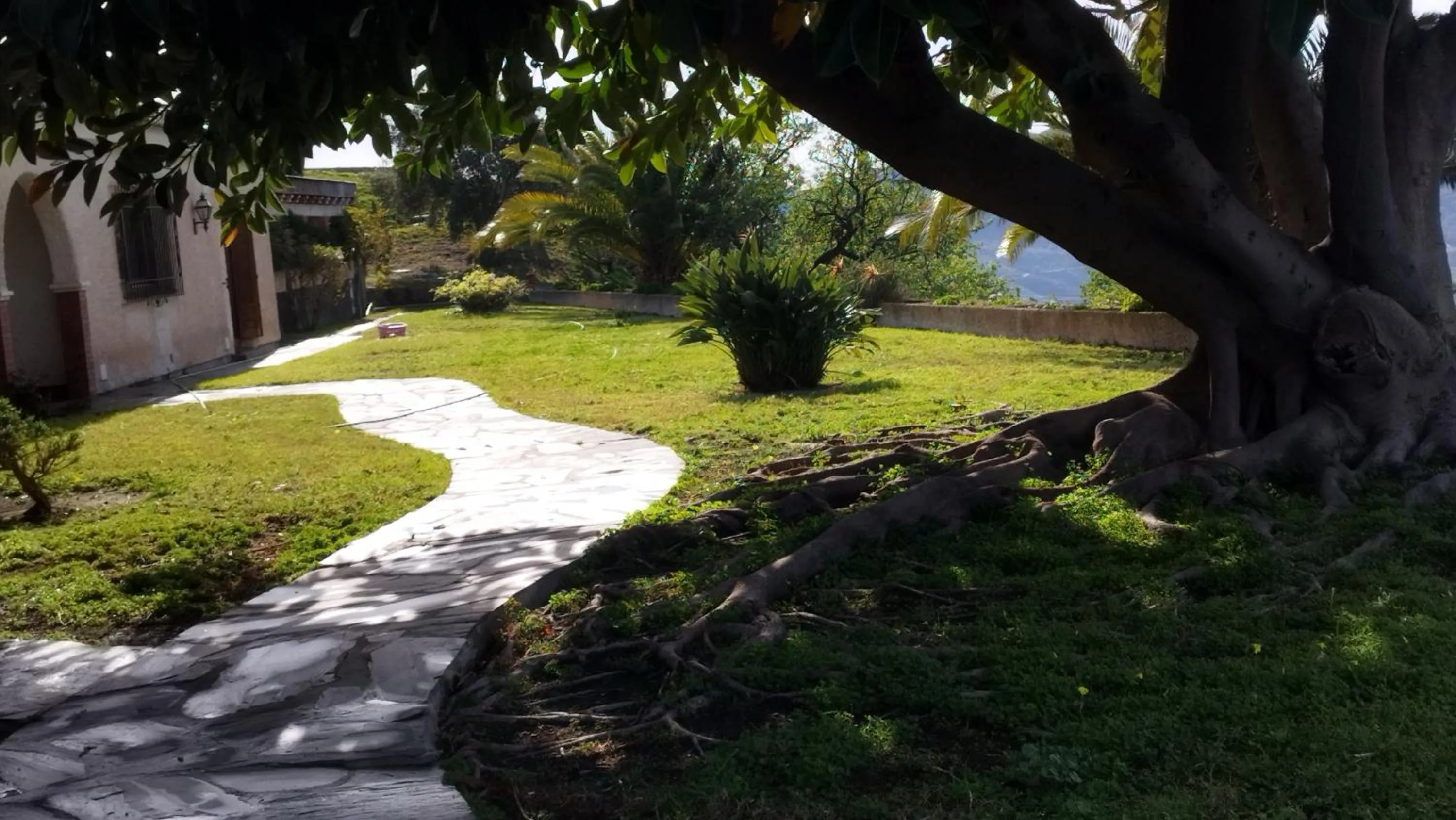 Garden view in Hotel Cortijo de la luna