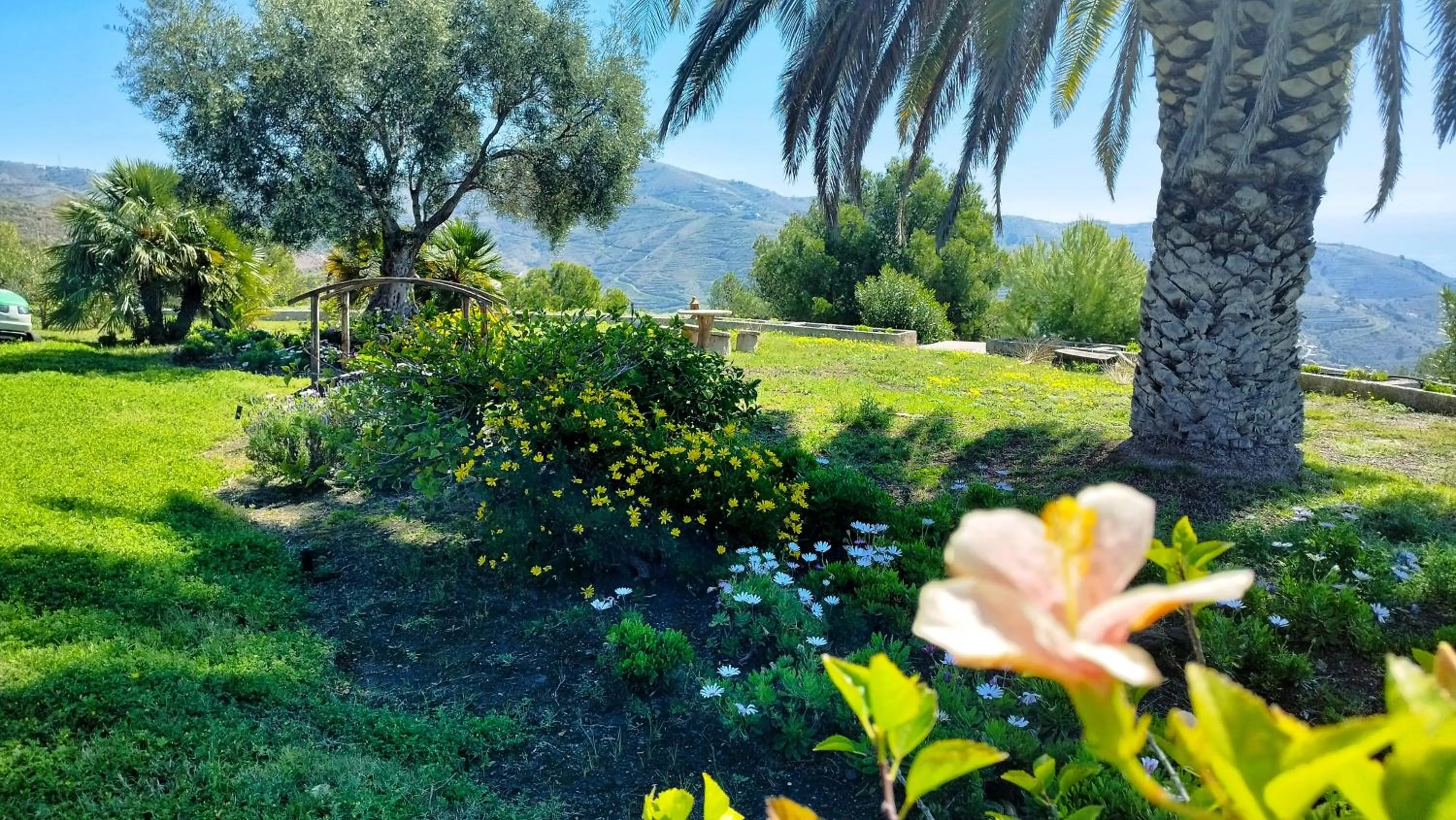 Natural landscape in Hotel Cortijo de la luna