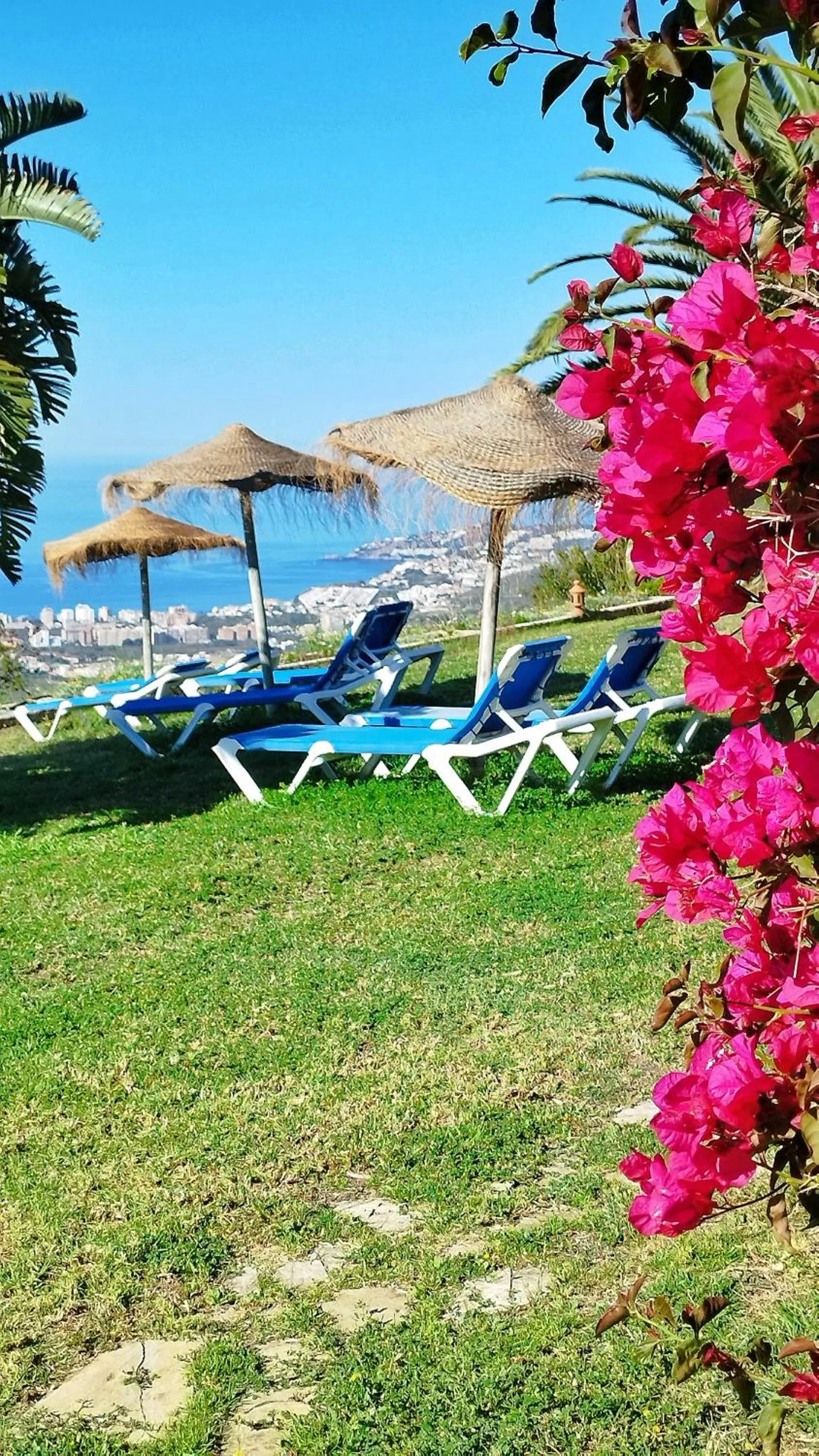 Natural landscape in Hotel Cortijo de la luna