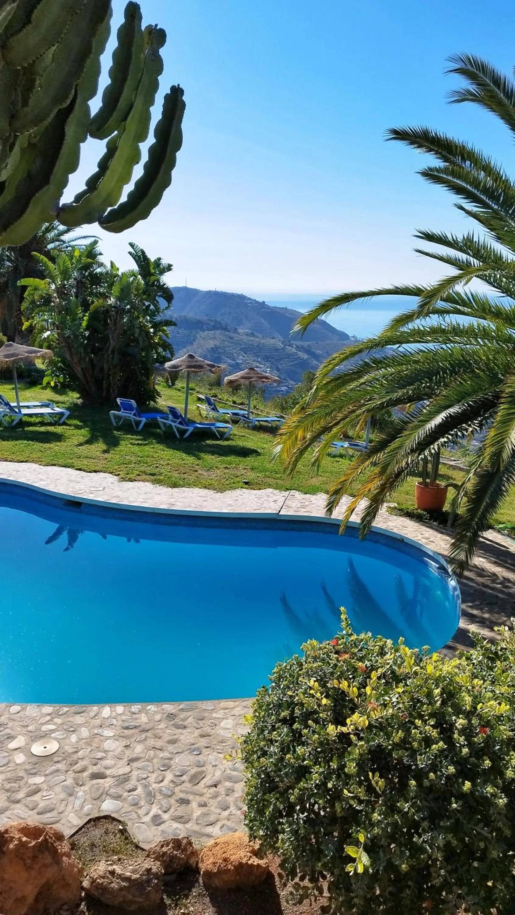 Garden view in Hotel Cortijo de la luna