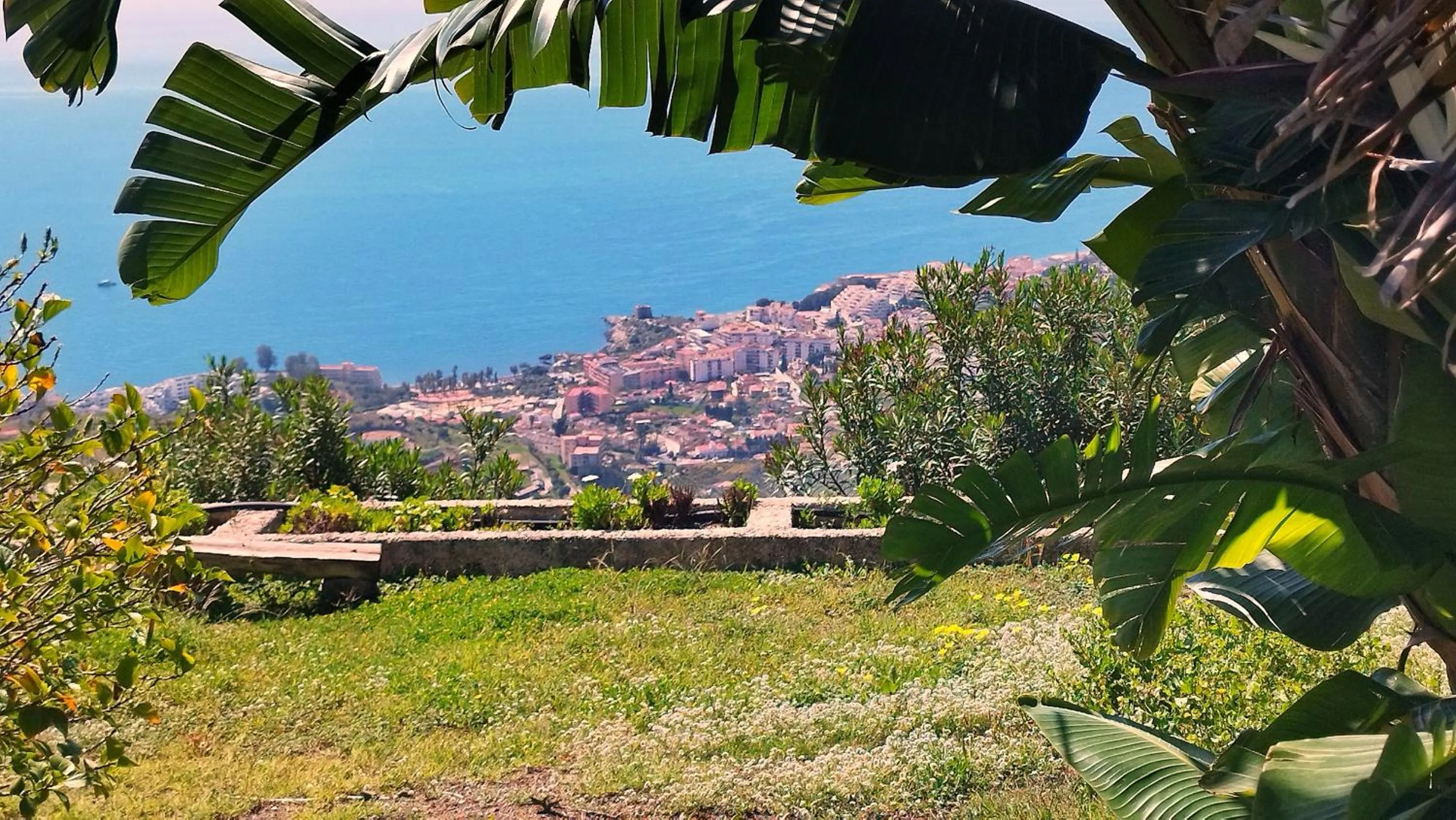 Natural landscape in Hotel Cortijo de la luna
