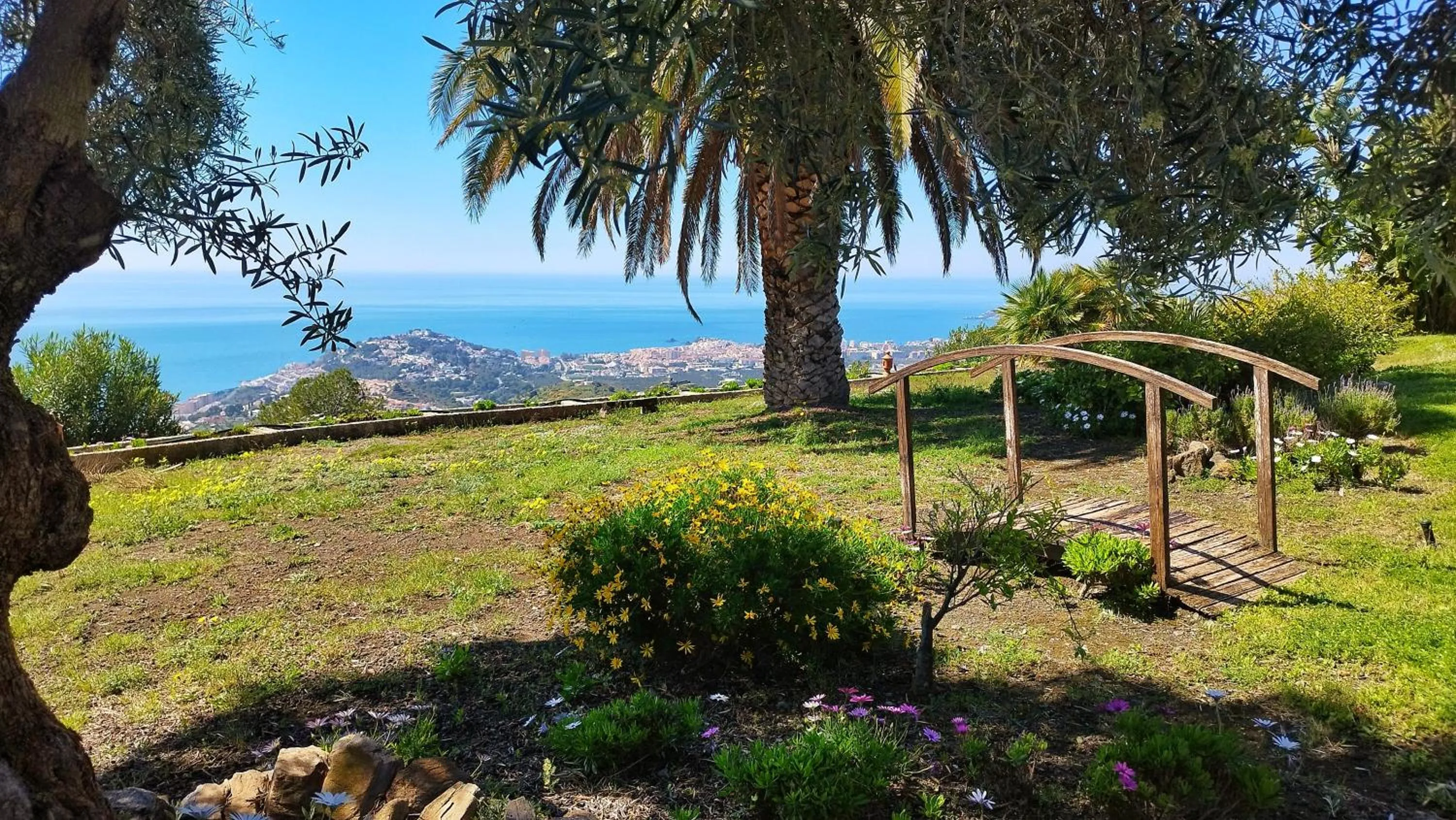 Natural landscape in Hotel Cortijo de la luna