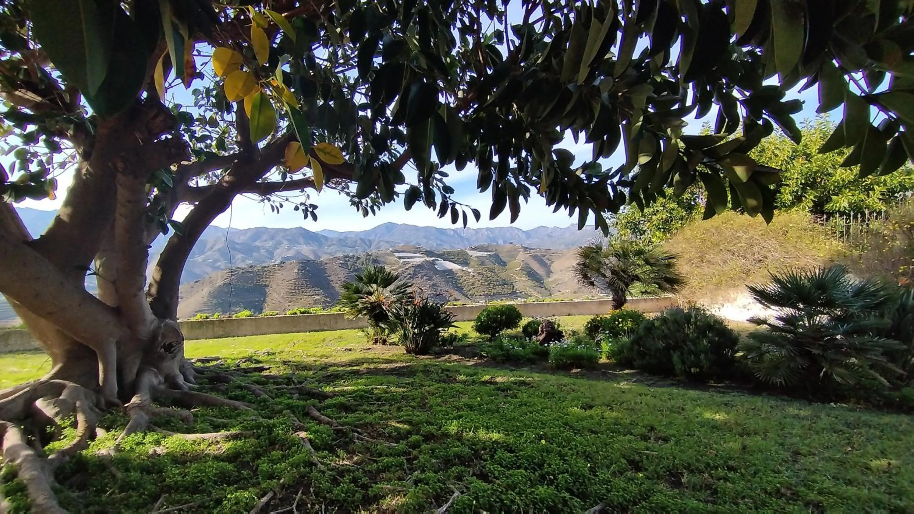 Natural landscape in Hotel Cortijo de la luna