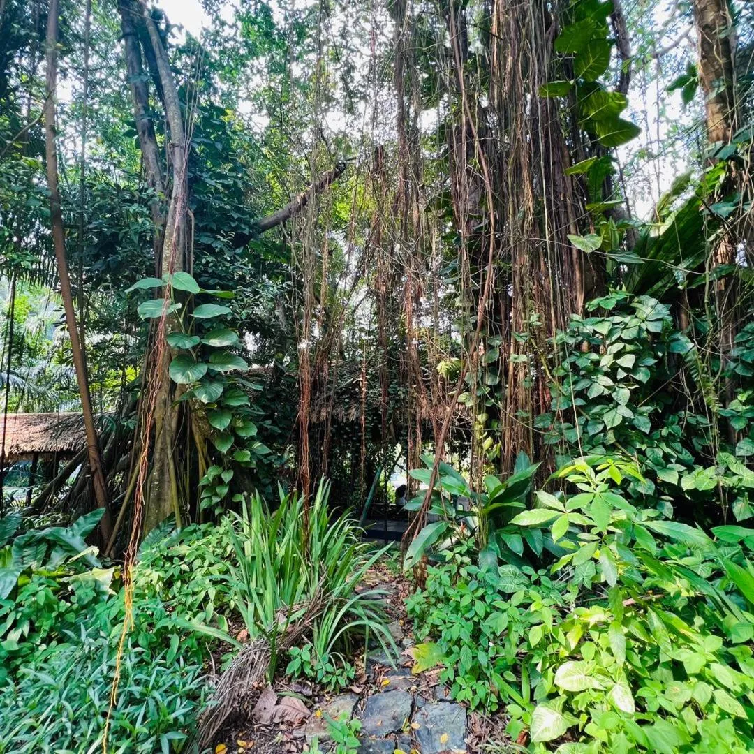 Spring in Seaview 2B1R 4pax Condo Forest City 4D-1809