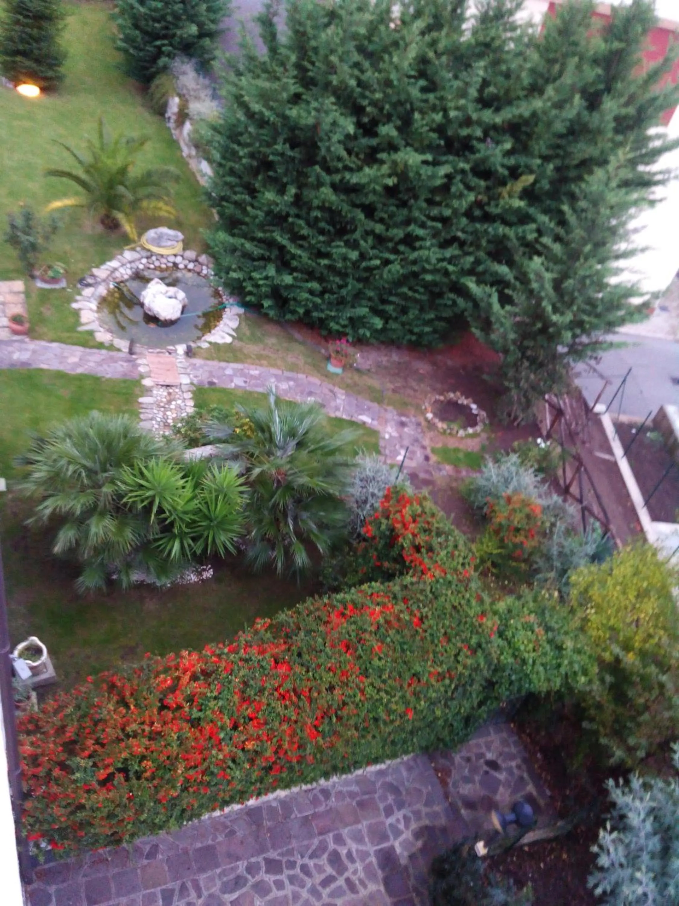 Bird's eye view in I Gelsomini