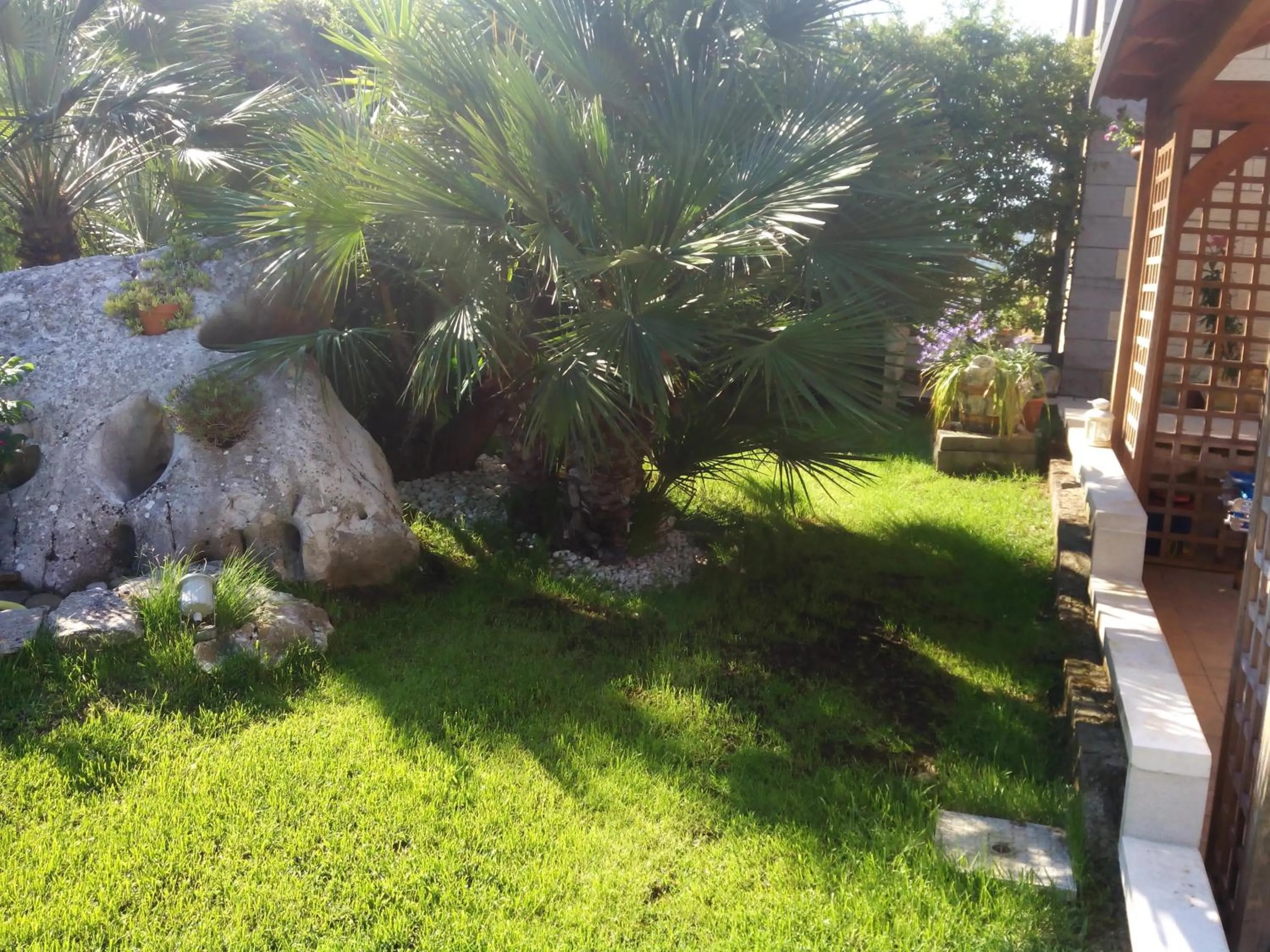 Garden in I Gelsomini