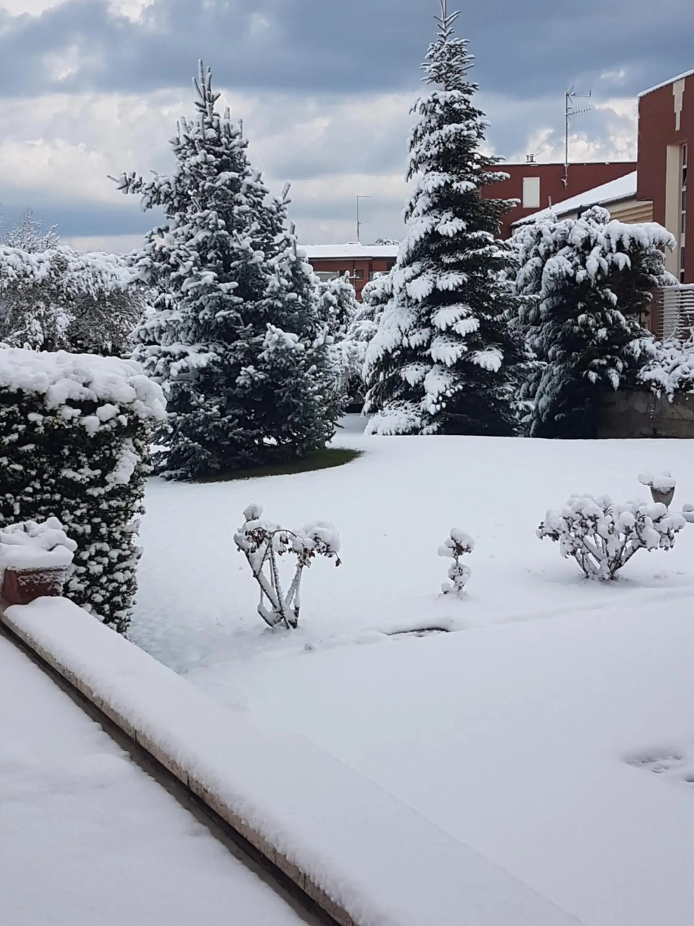 I Gelsomini I Gelsomini