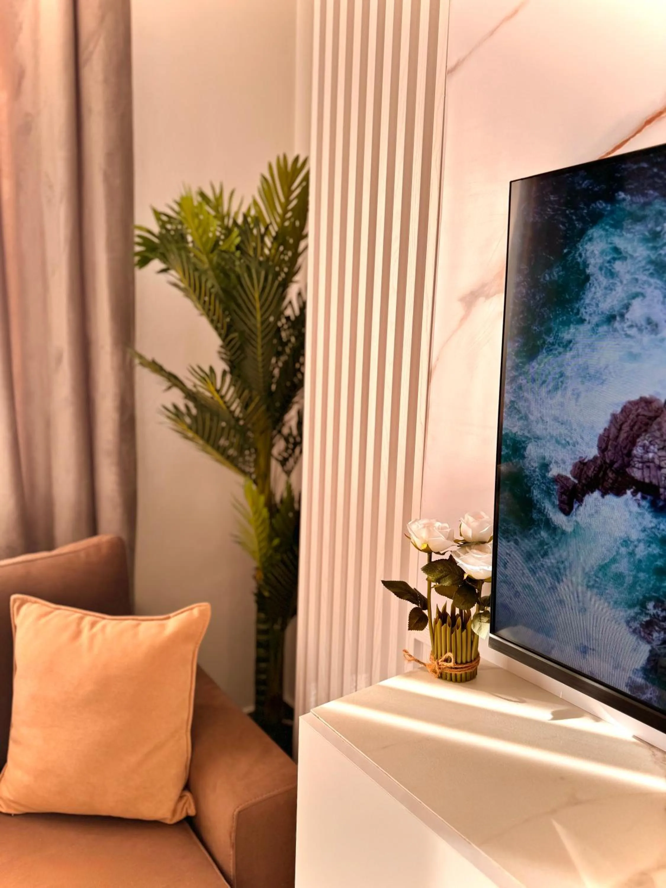 TV and multimedia in Elite Apartments