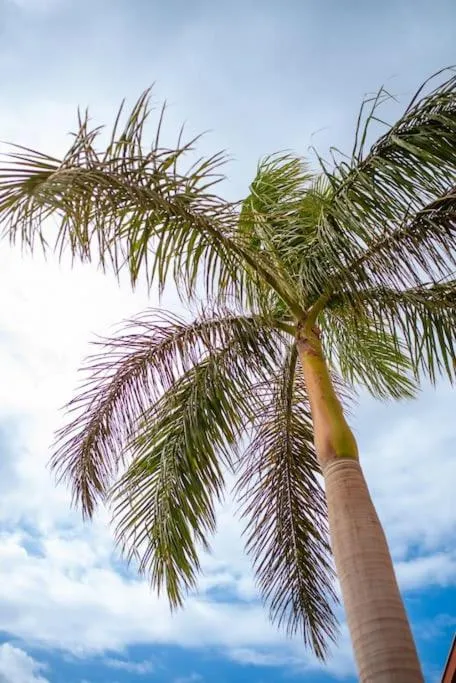 Spring in Piso para vacaciones familiares