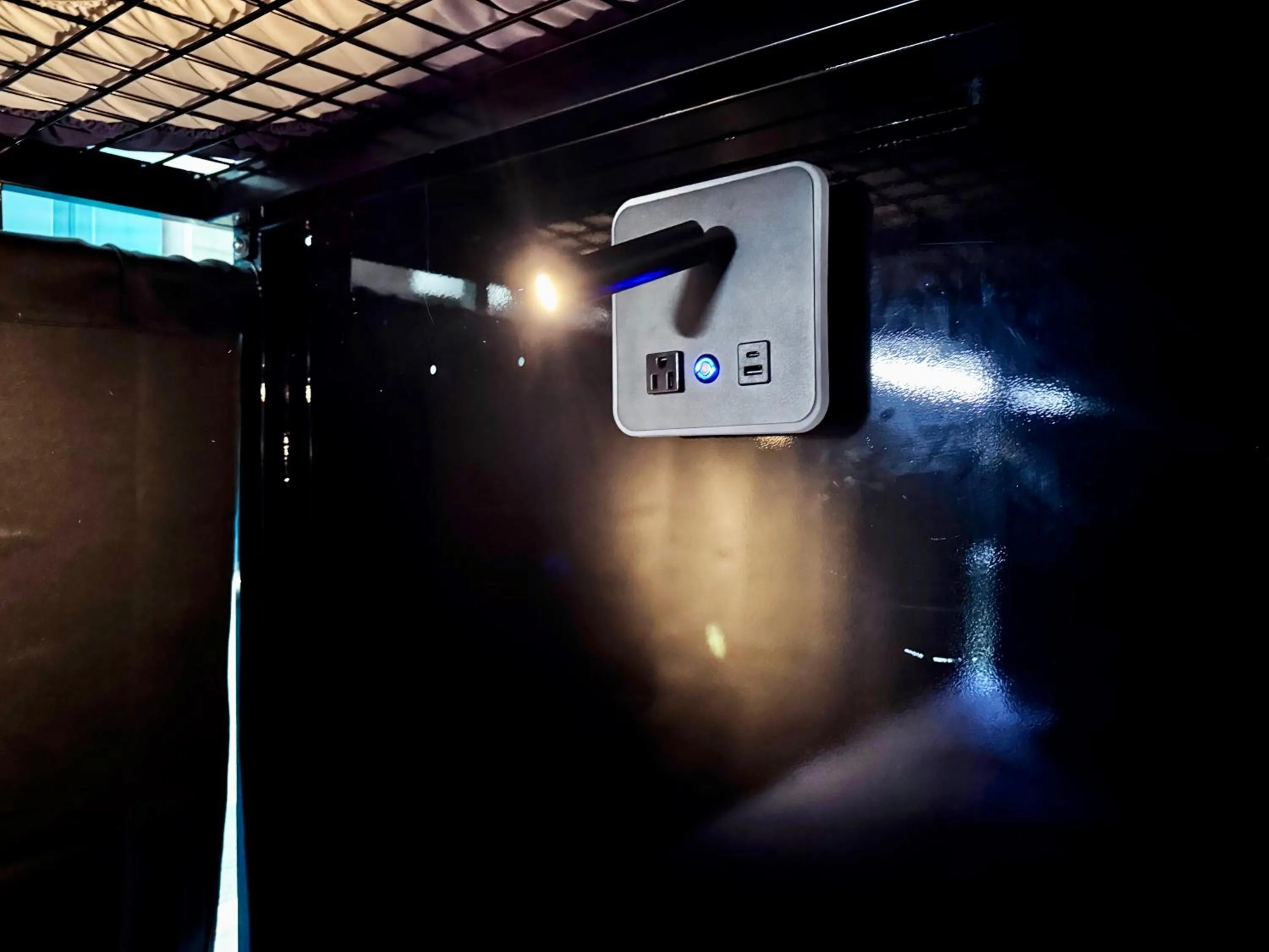 bunk bed in Sin City Hostel