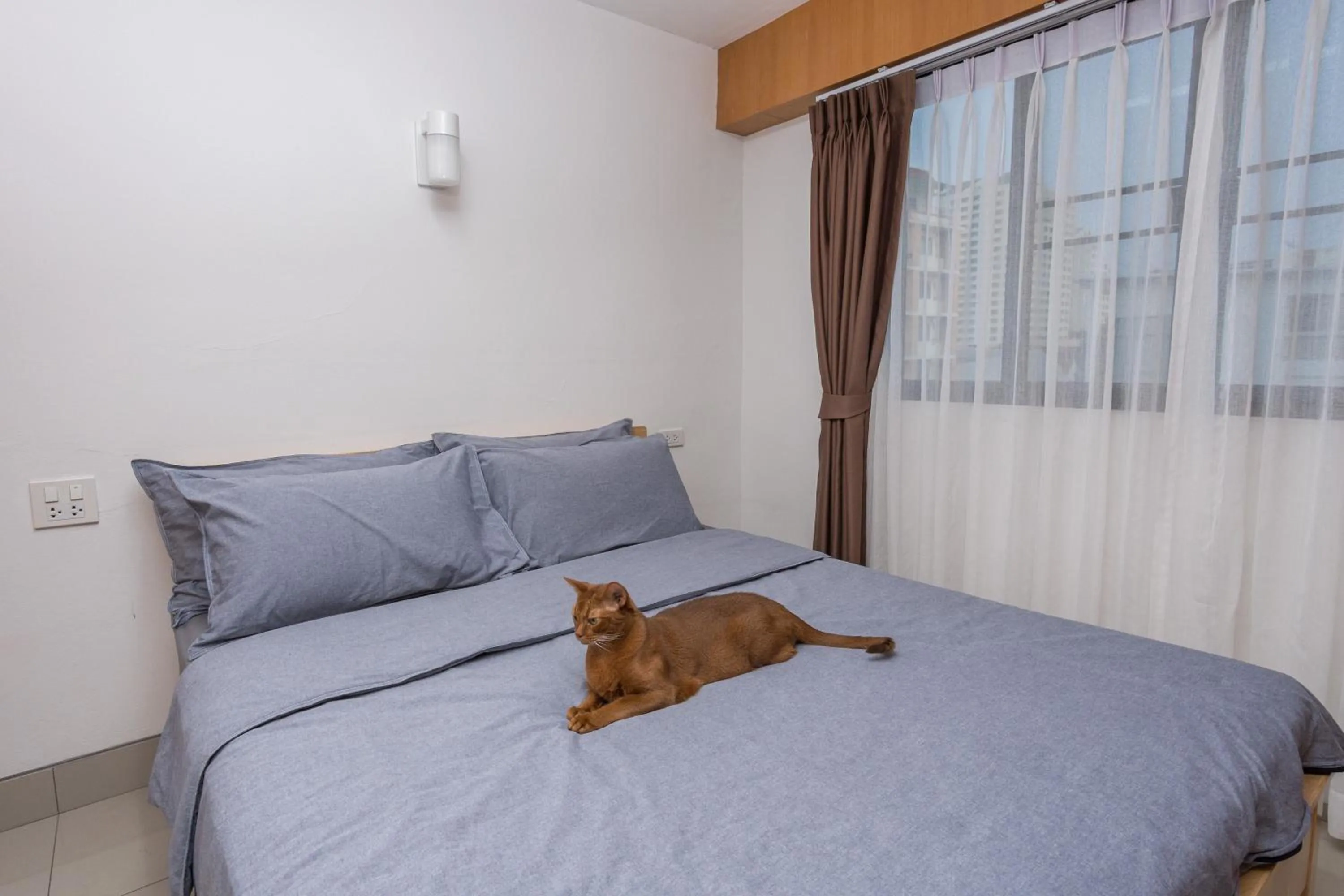 Bedroom, Bed in Homies Ratchada Hotel