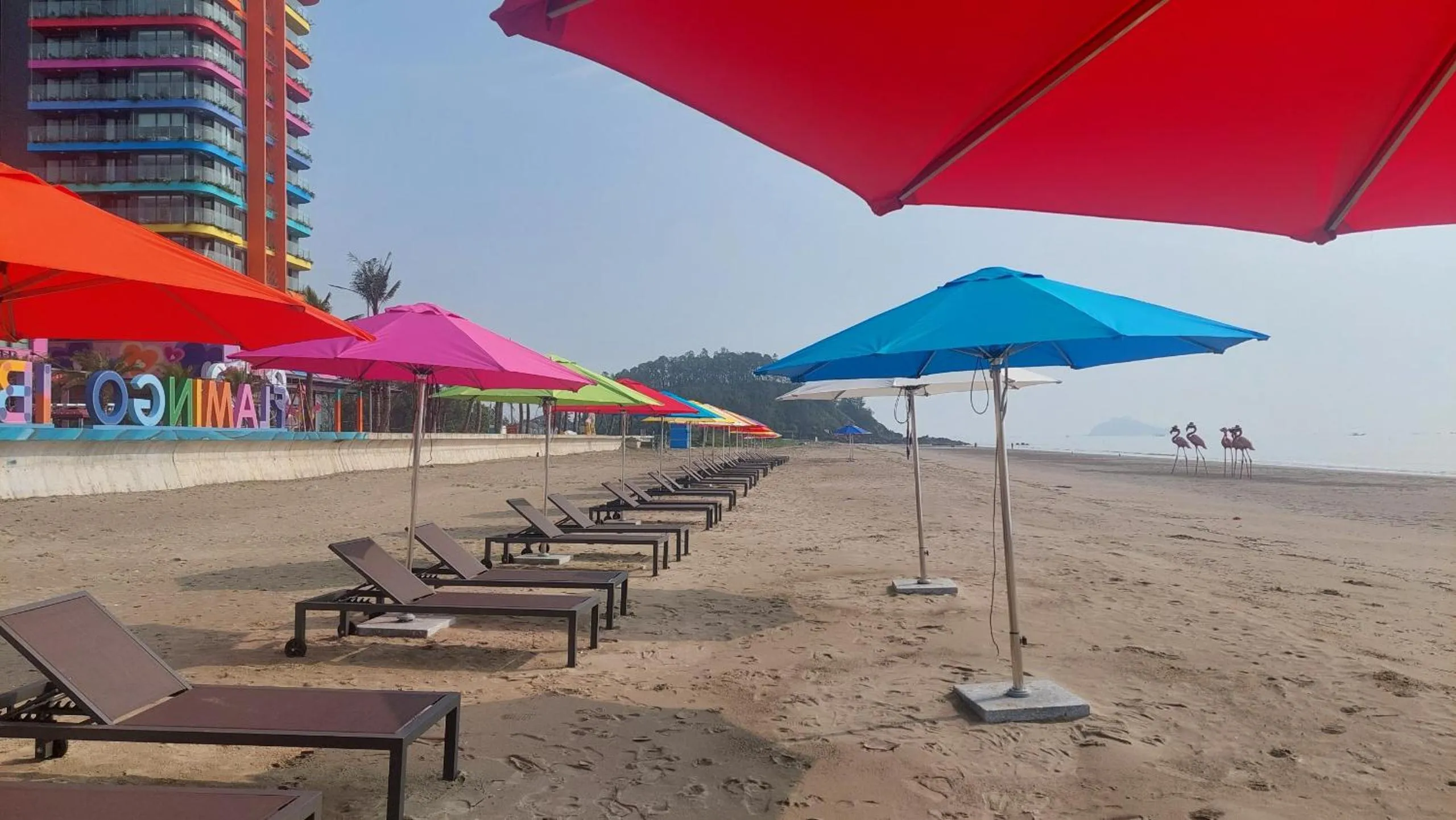 Natural landscape in Flamingos Hải Tiến