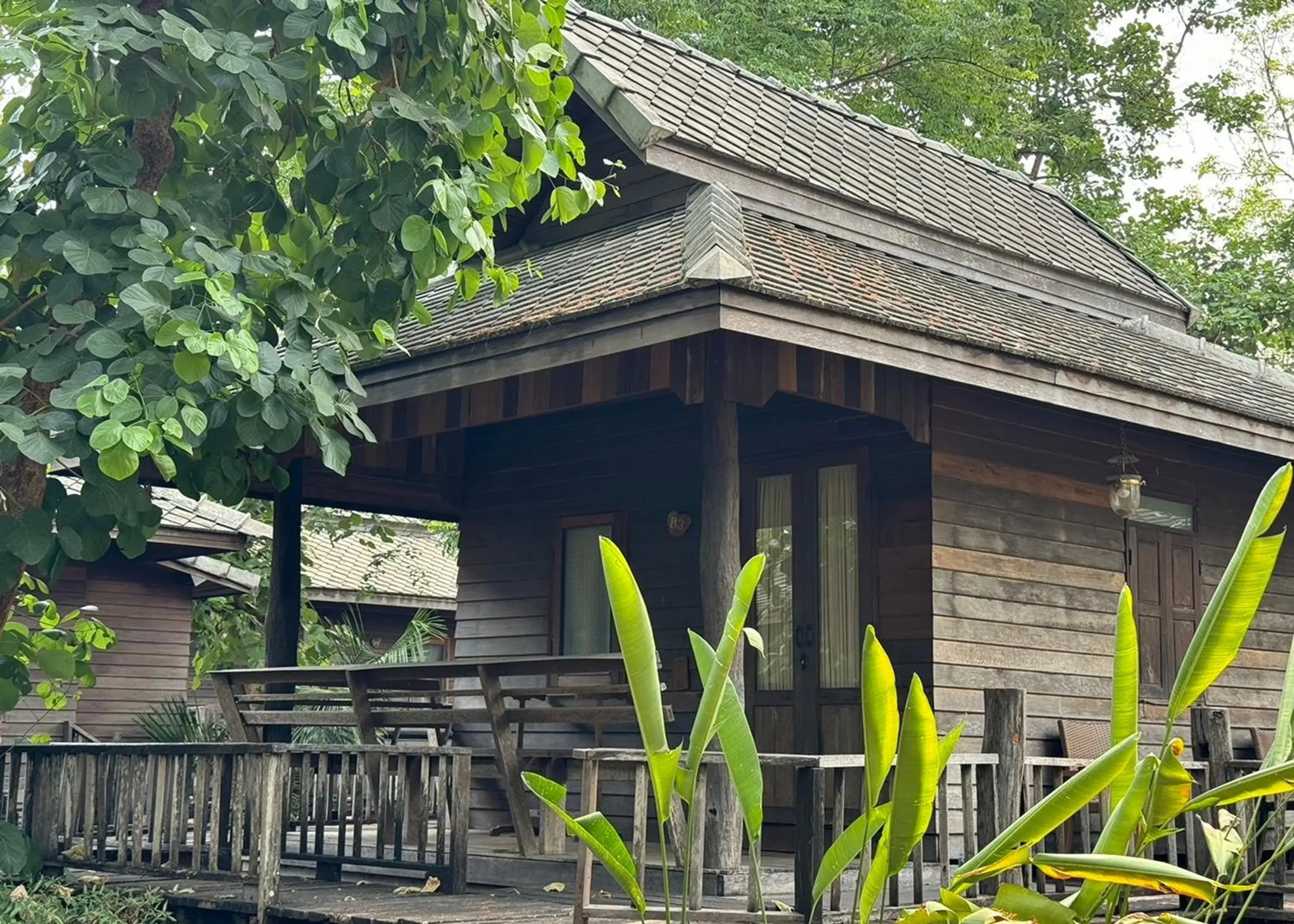 Garden view in Karina Resort Chiang Mai Garden view in Karina Resort Chiang Mai
