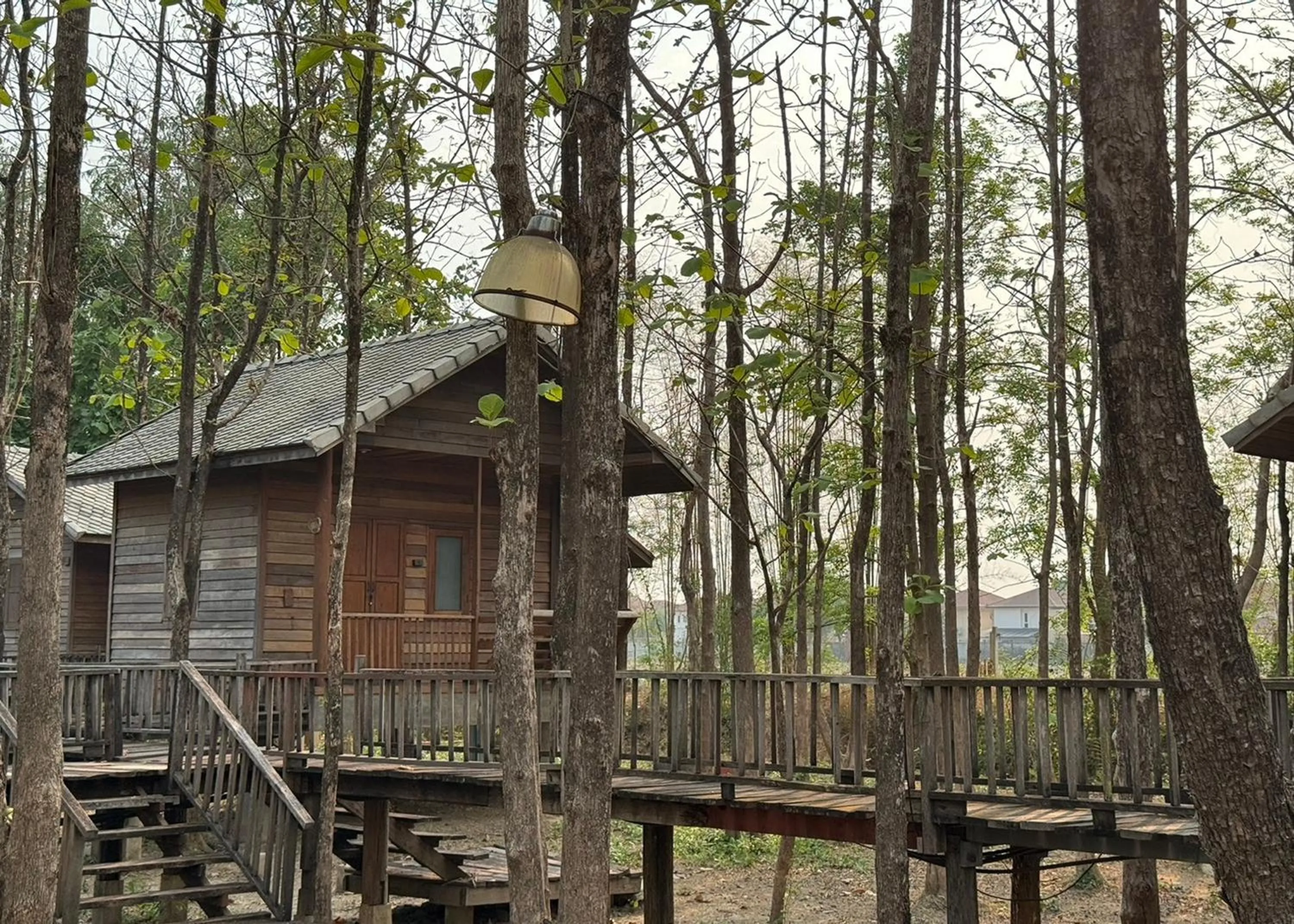 Natural landscape in Karina Resort Chiang Mai