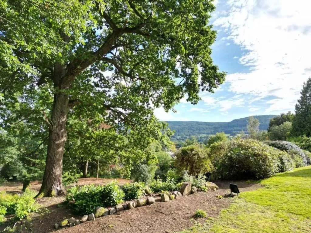 Spring in Wellwood Manor