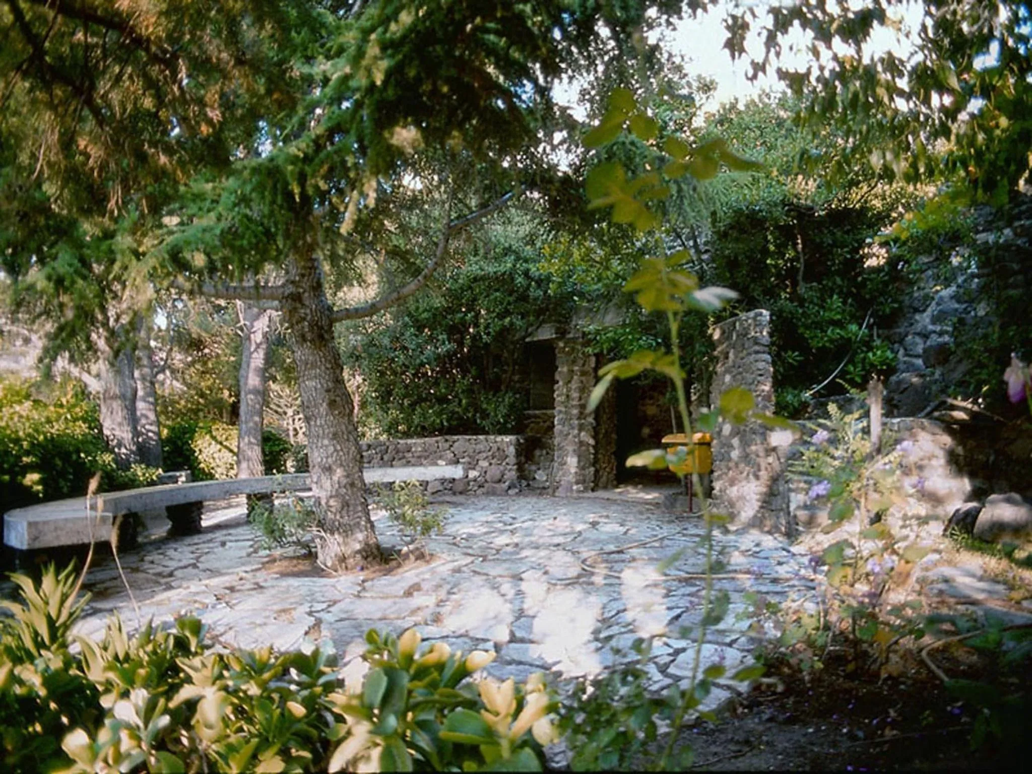 Garden in Hotel L'Oasi