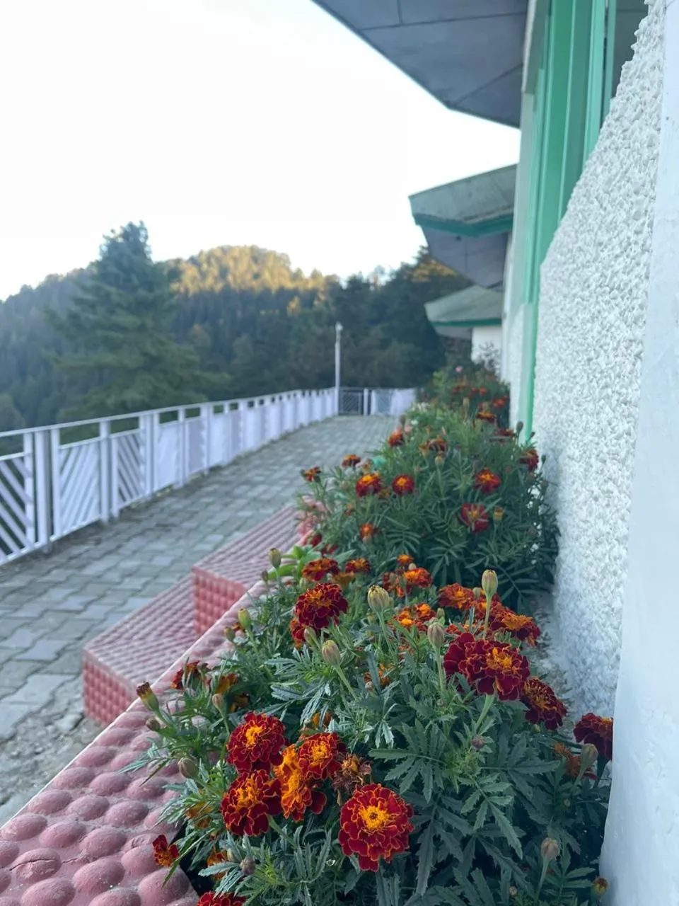 View (from property/room) in Kufri Heritage Resort & Spa