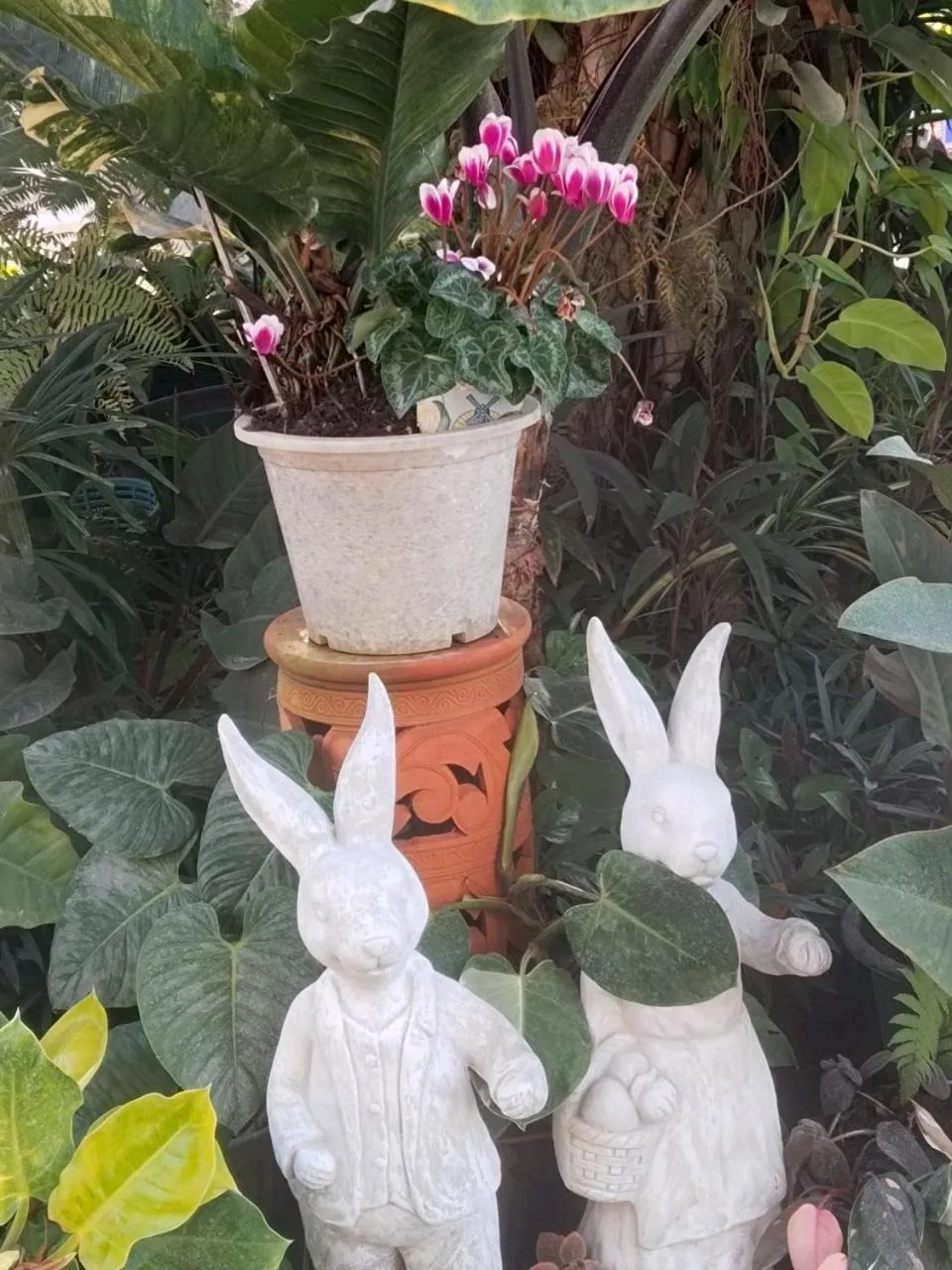 Garden in Park & Pool Resort