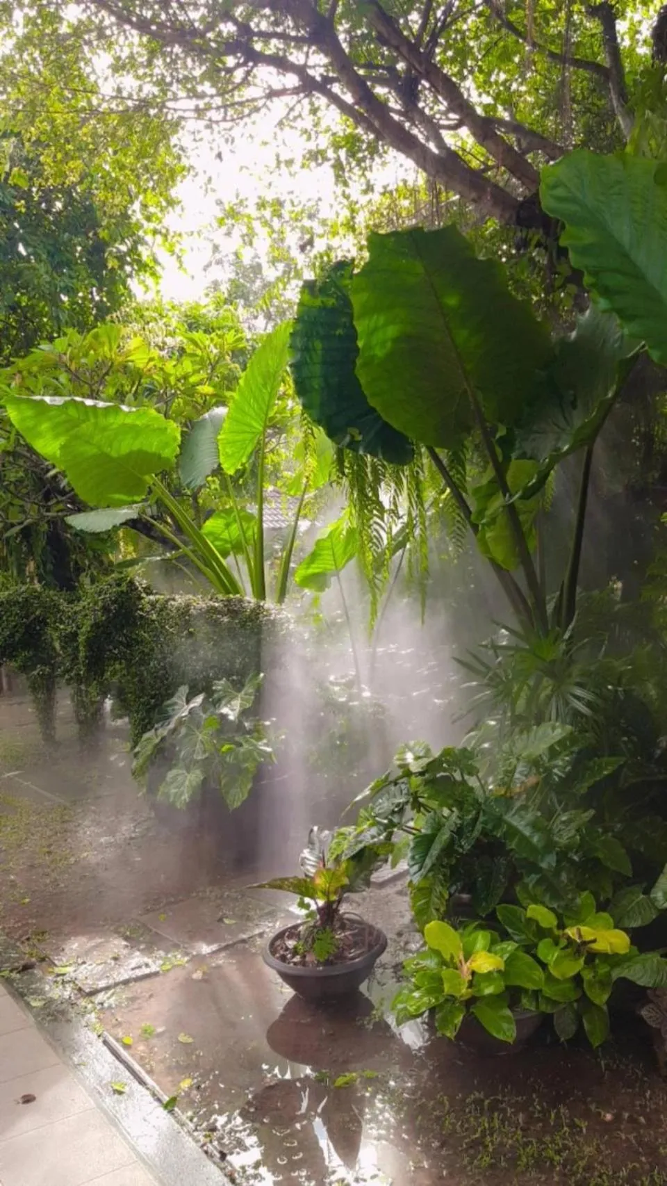 Garden in Park & Pool Resort