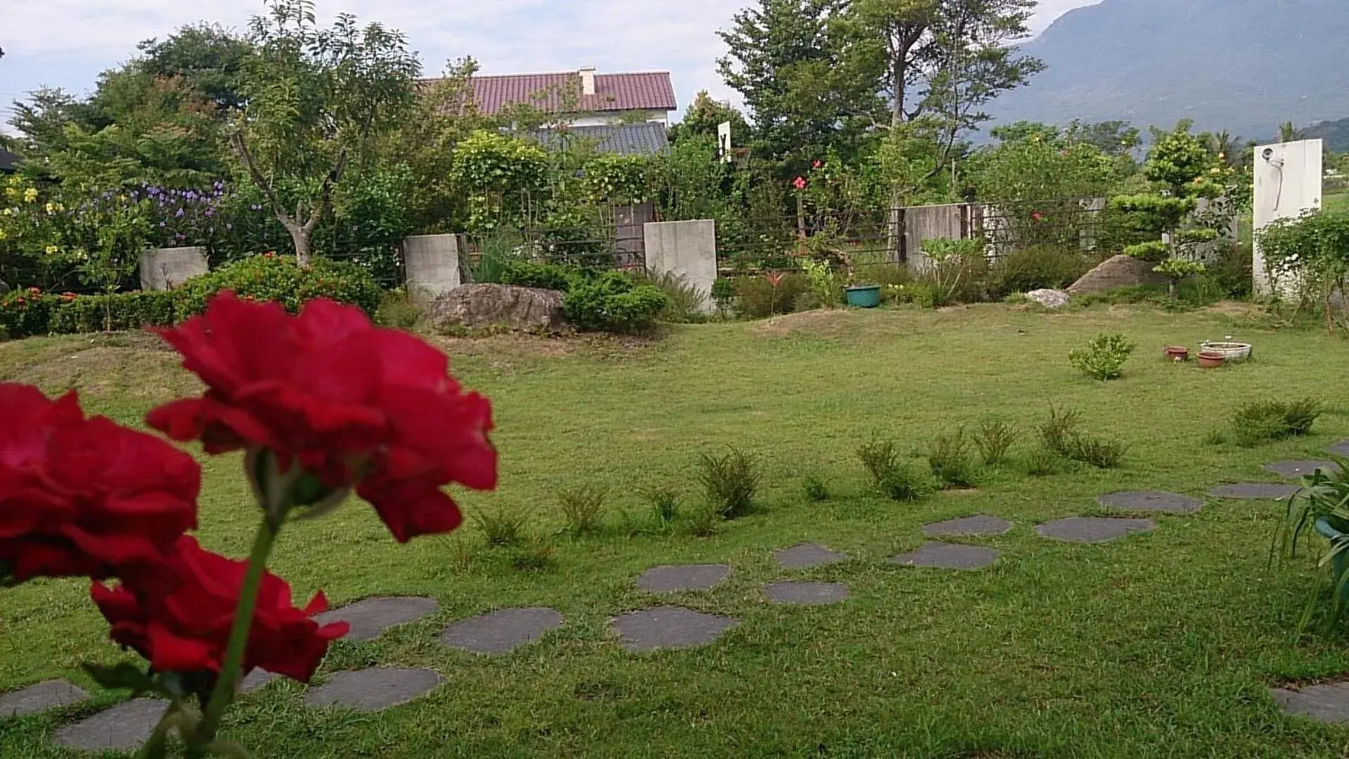 View (from property/room) in Slow Fly B&B View (from property/room) in Slow Fly B&B