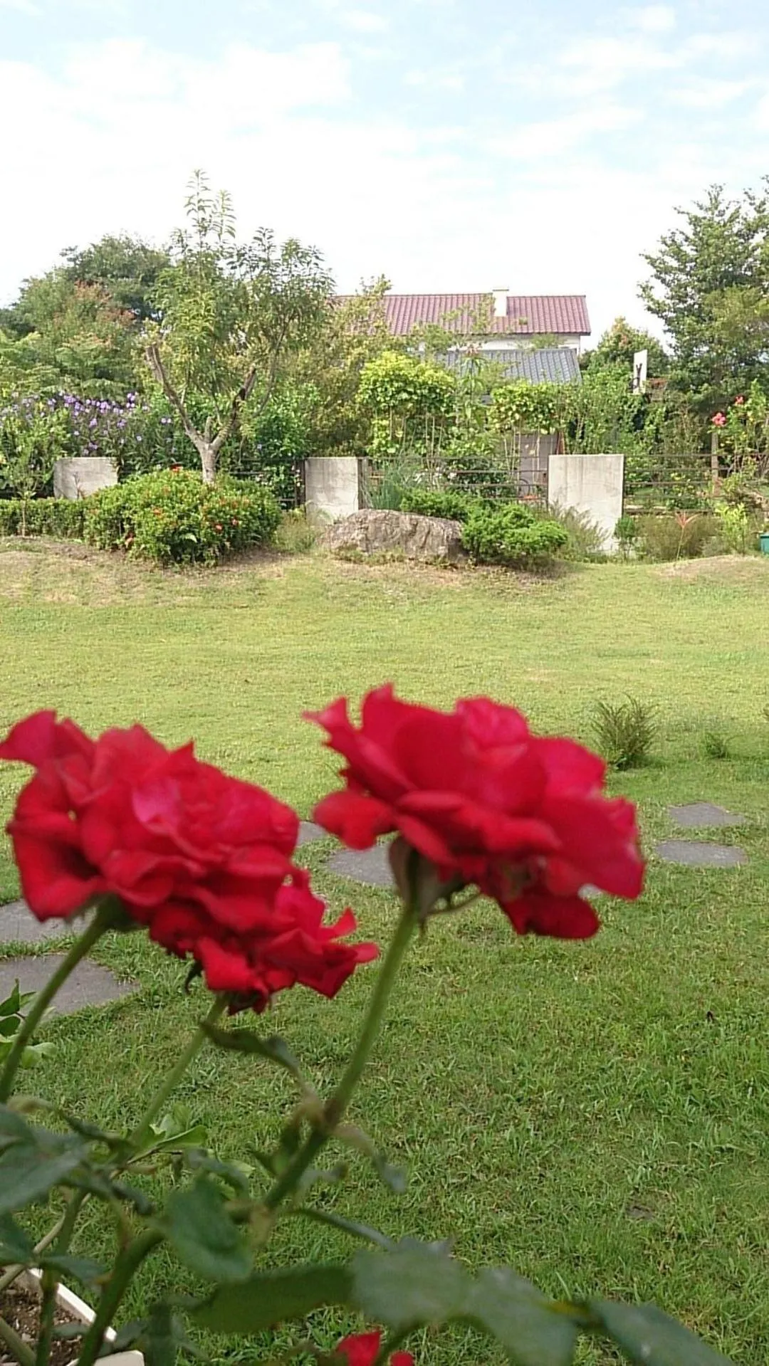 View (from property/room) in Slow Fly B&B