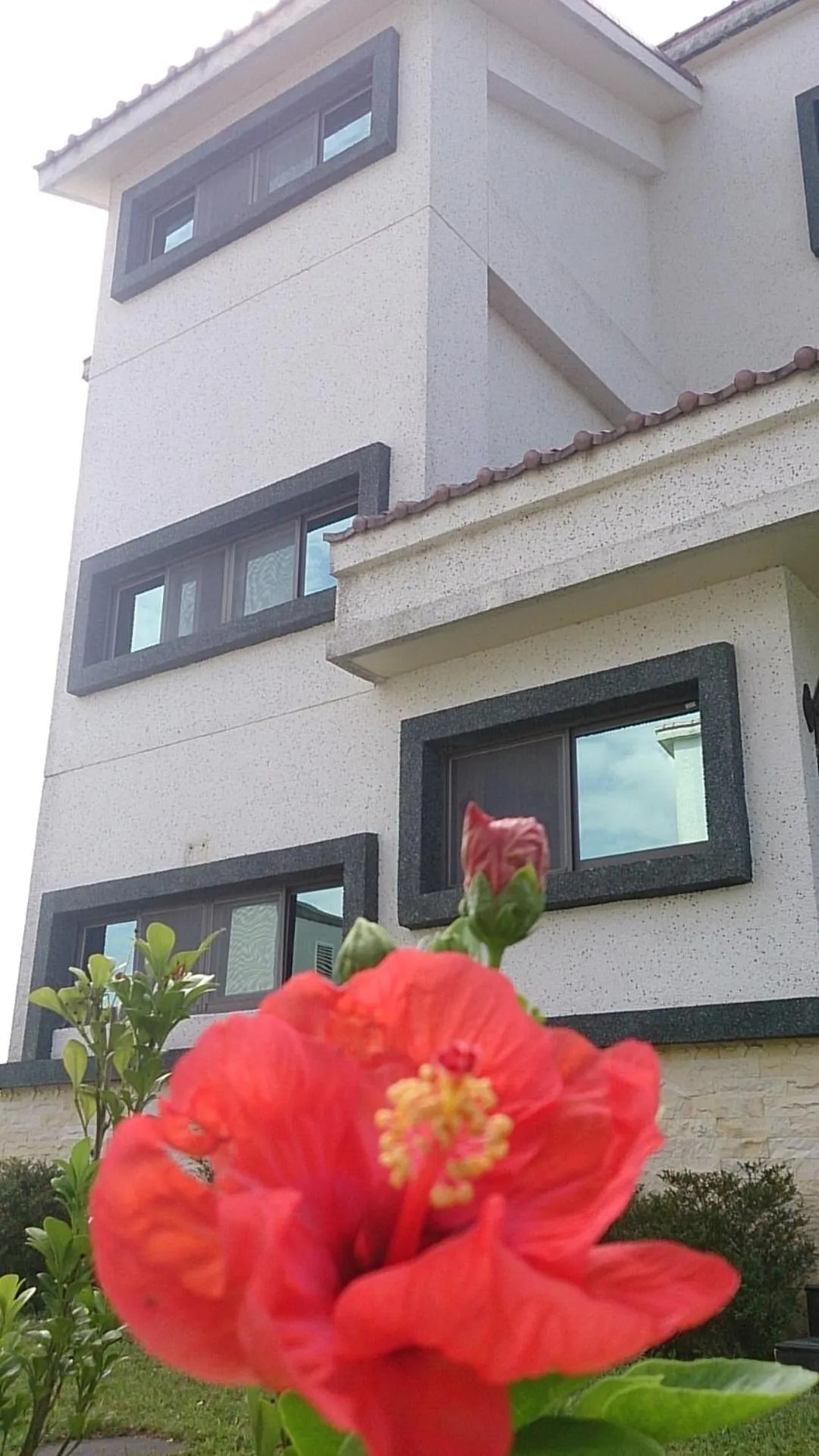 Facade/entrance in Slow Fly B&B