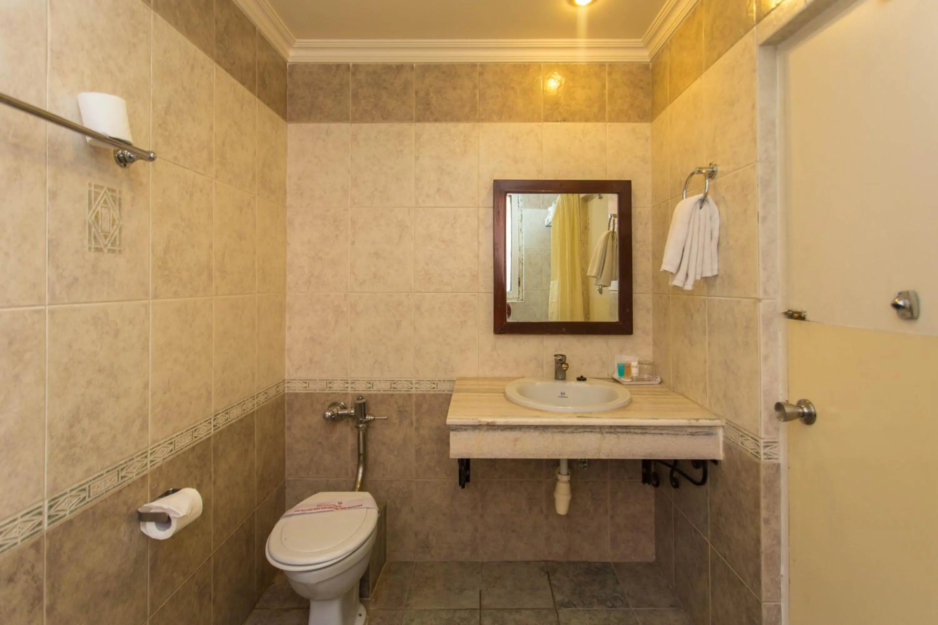 Toilet in Hotel Marshyangdi