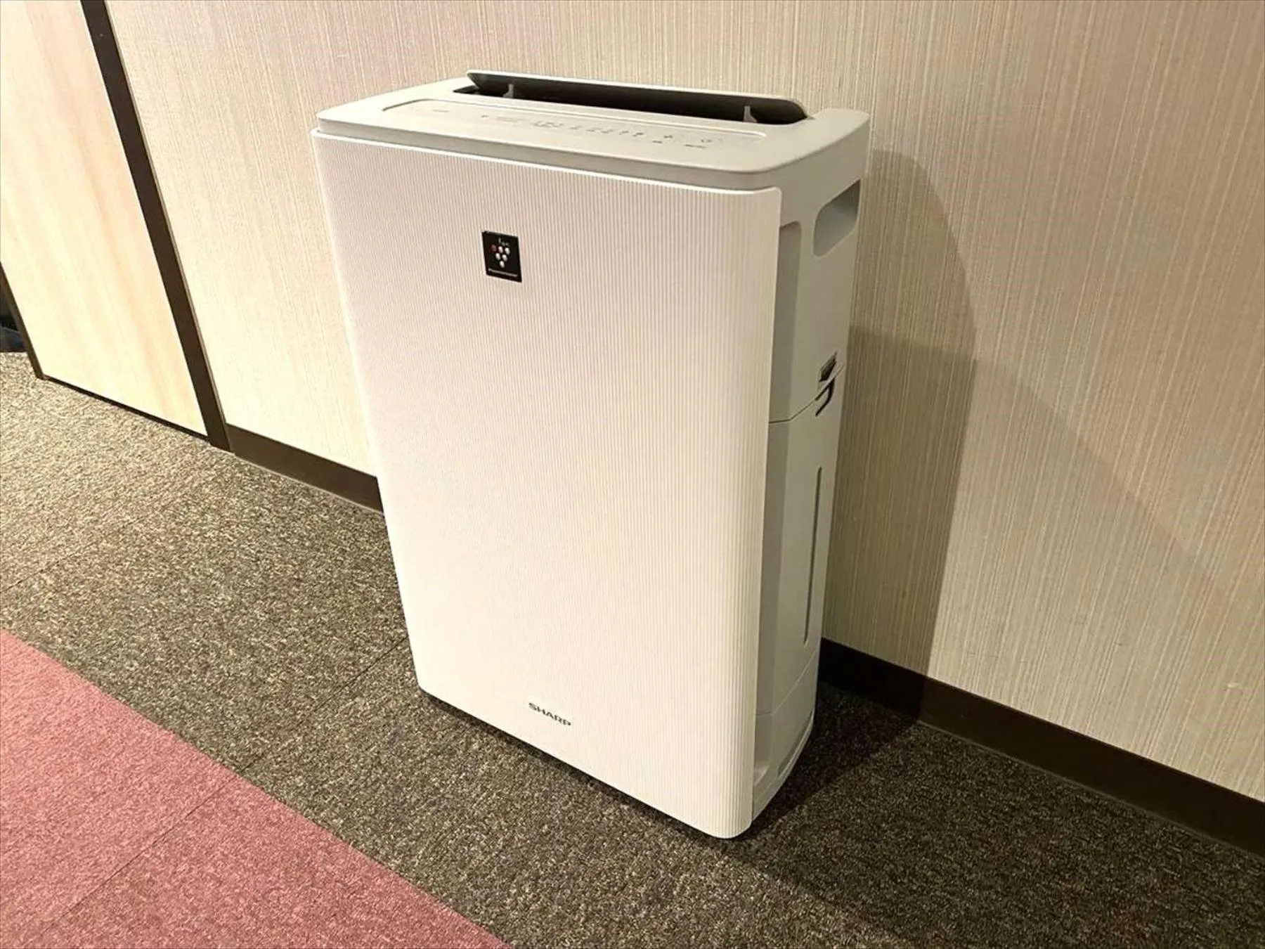 Other in Green Rich Hotel Izumo (Artificial hot spring Futamata Yunohana)