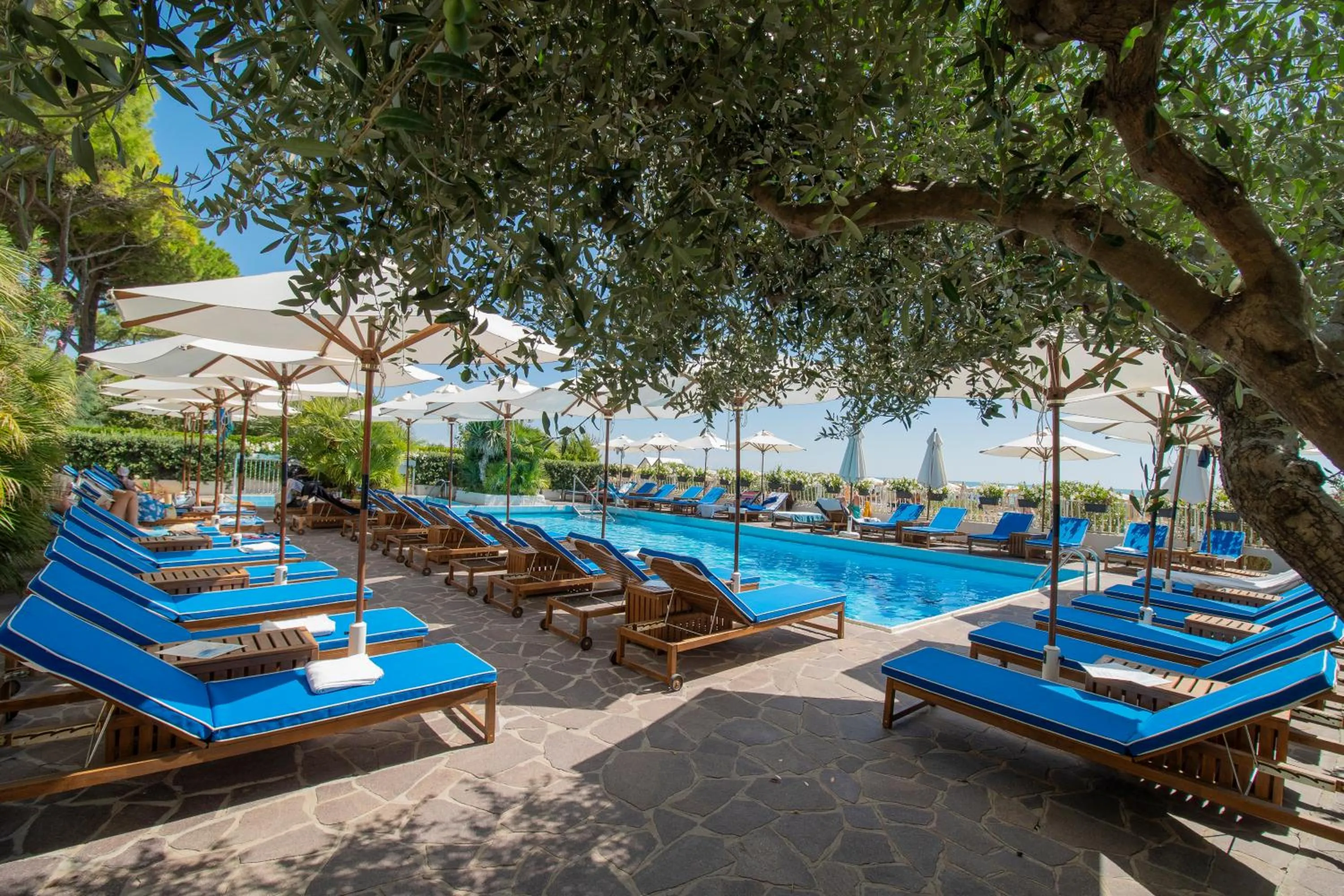 Swimming pool in Hotel Majestic