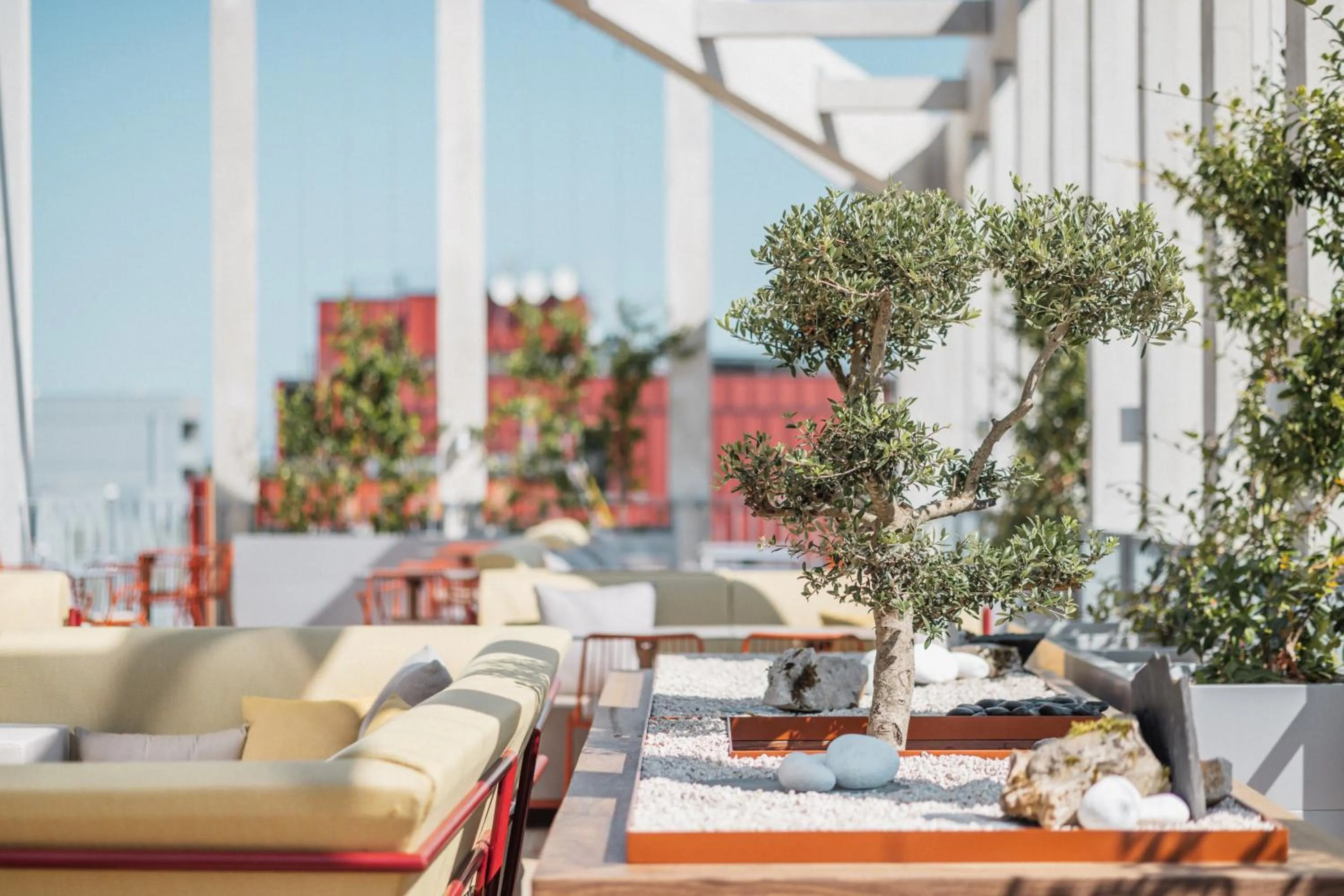 Patio in Sangha Toulouse