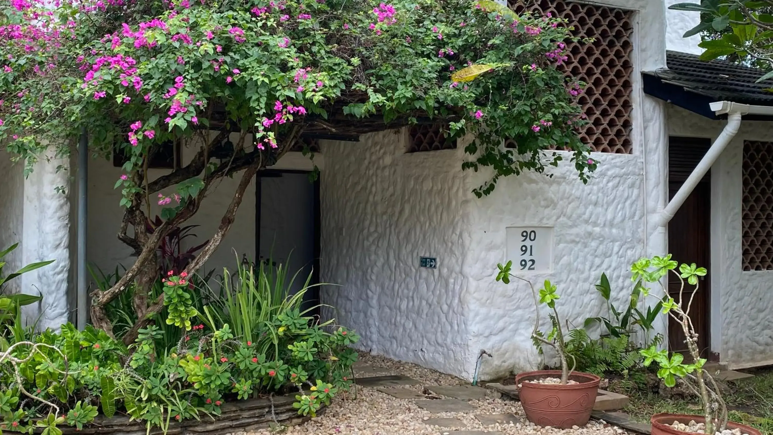 Facade/entrance in Pinewood Beach Resort and Spa Facade/entrance in Pinewood Beach Resort and Spa