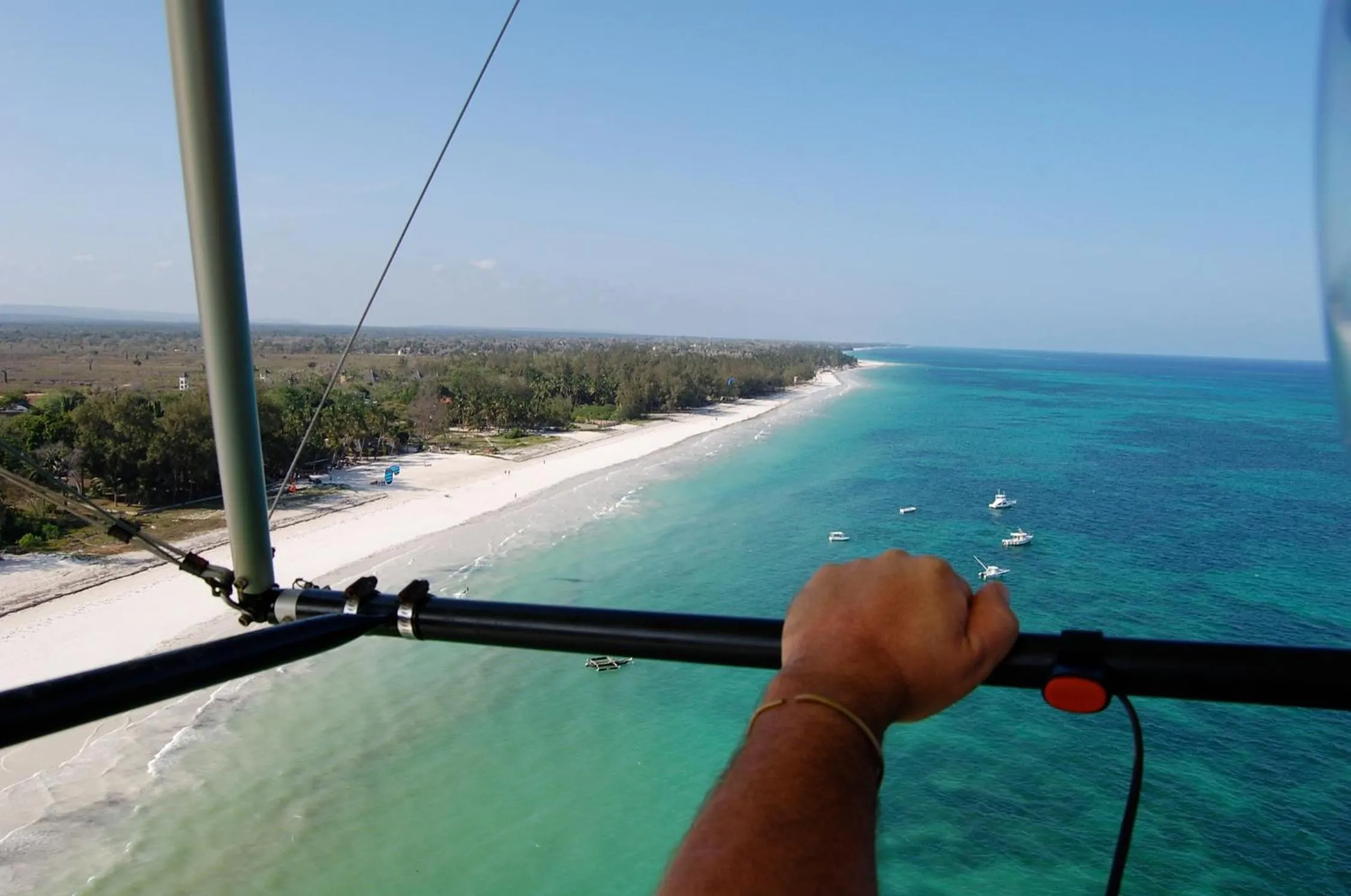 Natural landscape in Pinewood Beach Resort and Spa