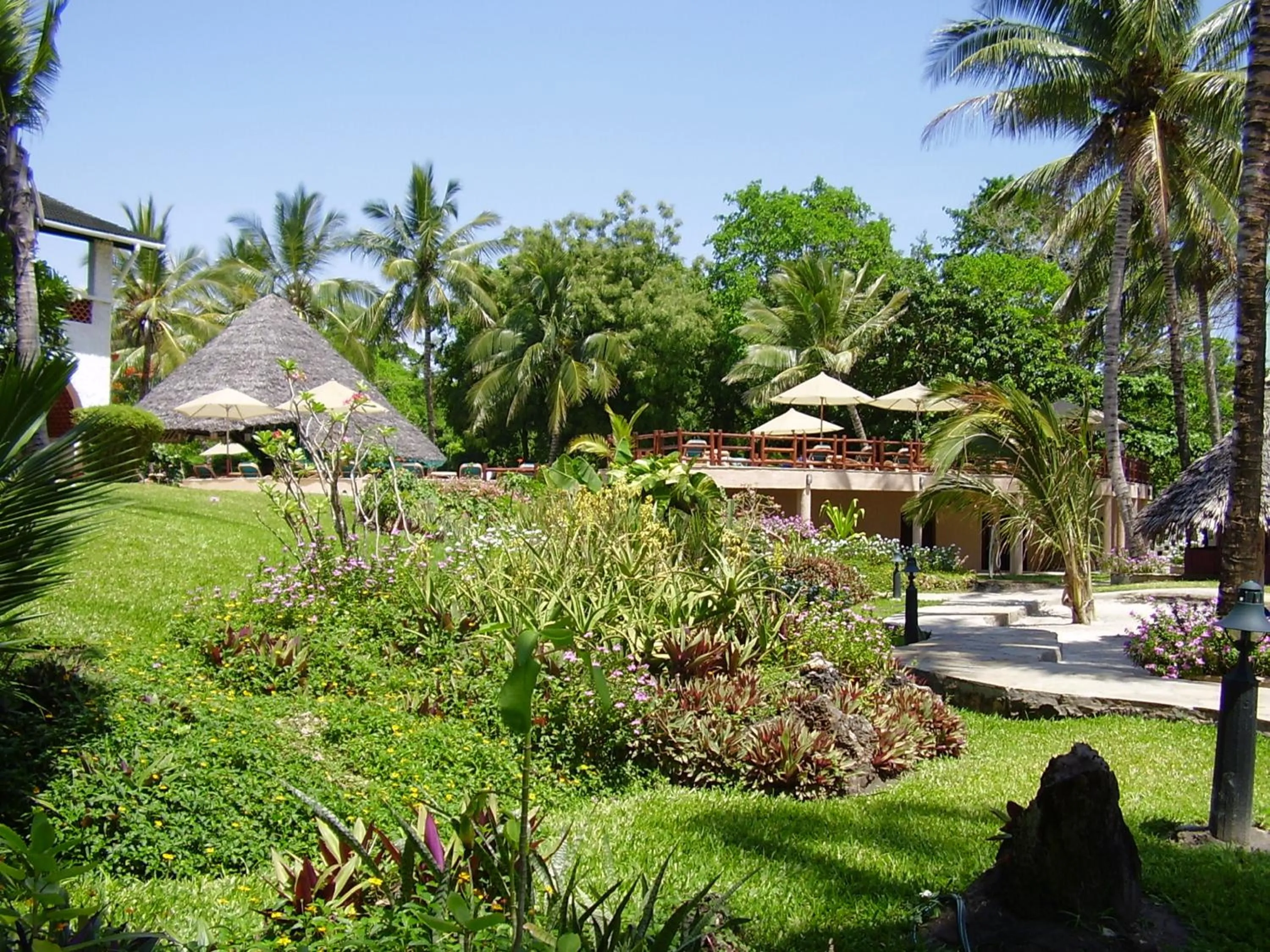 Garden in Pinewood Beach Resort and Spa