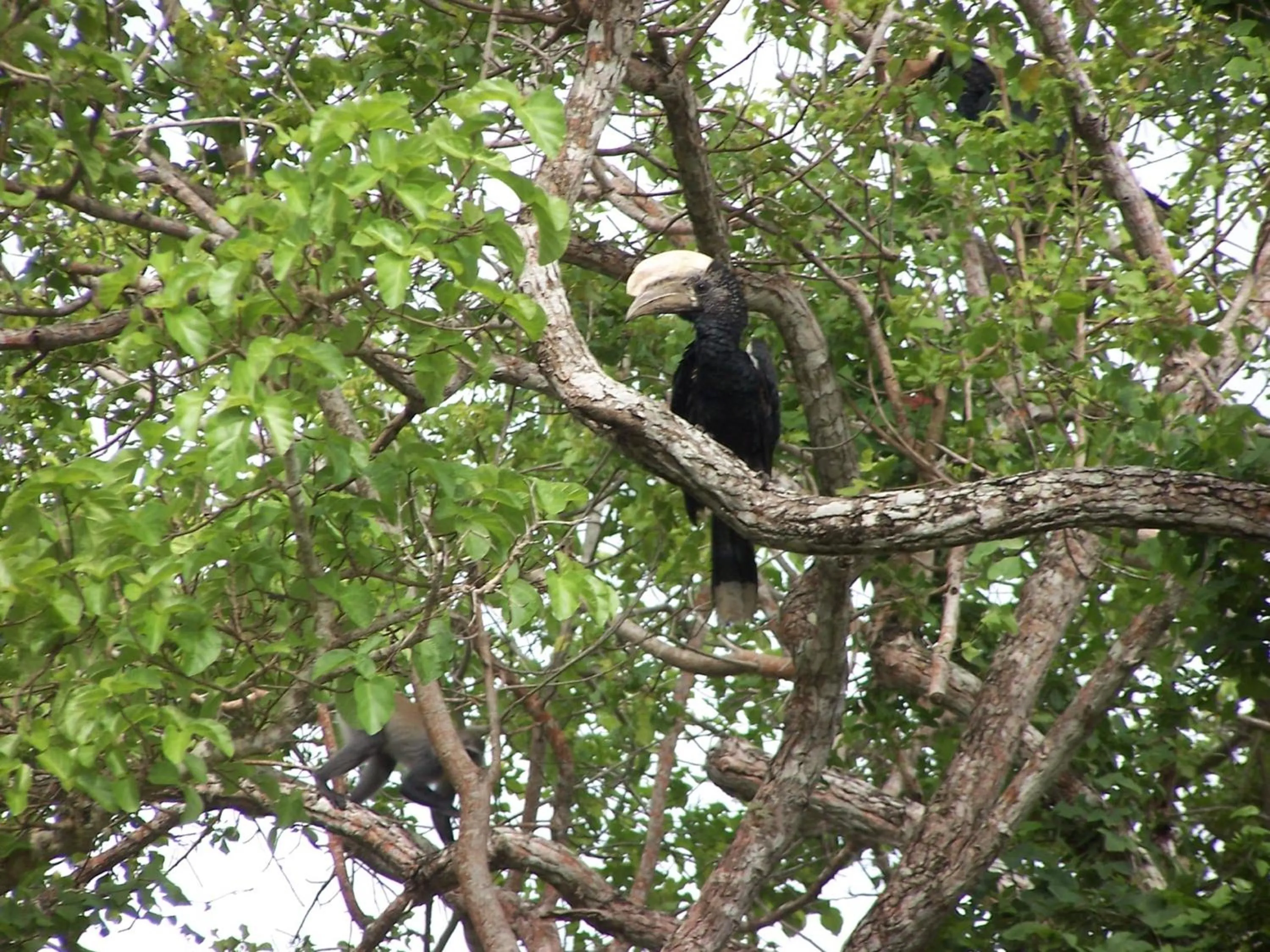 Off site in Pinewood Beach Resort and Spa