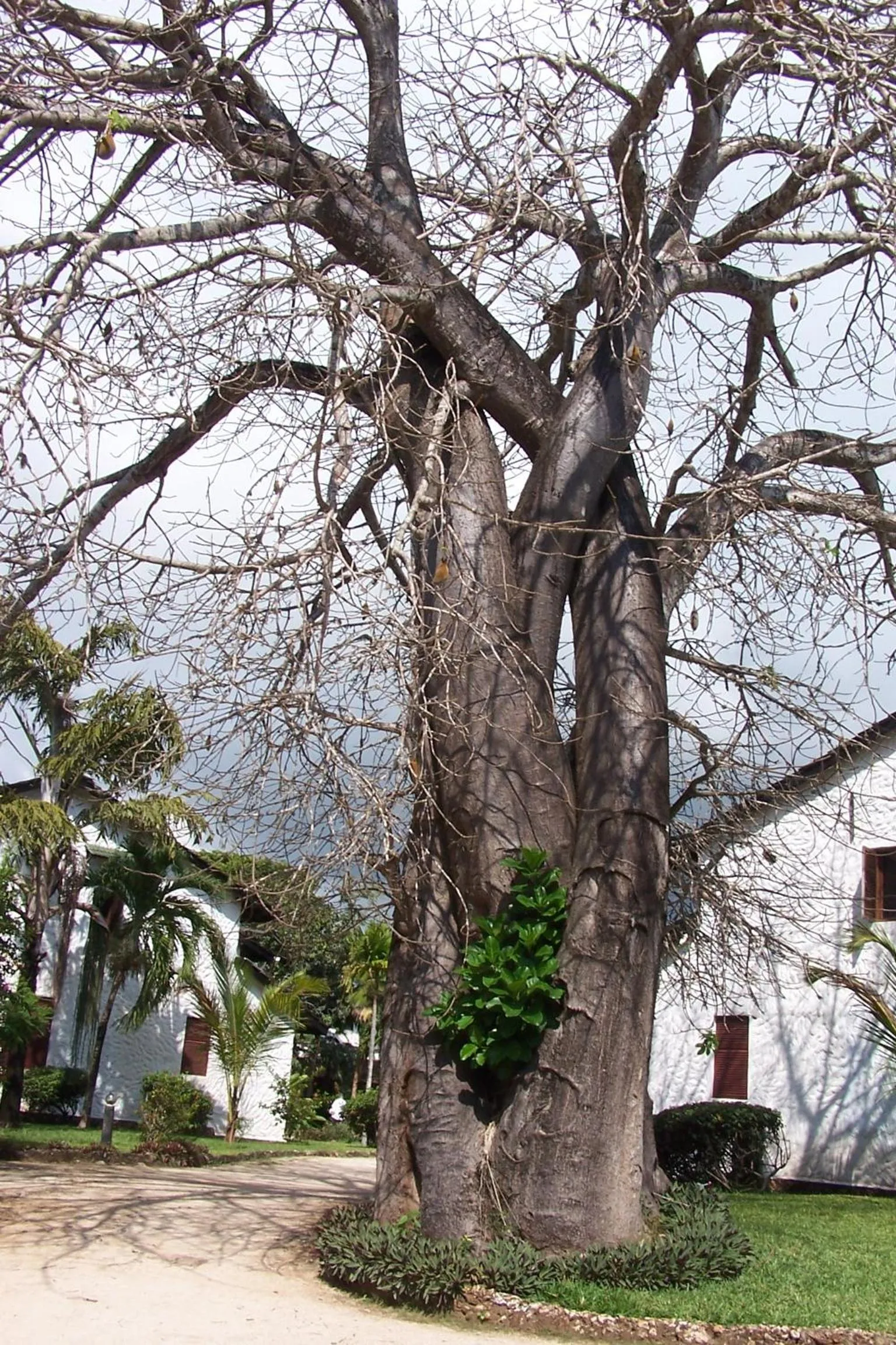 On site in Pinewood Beach Resort and Spa