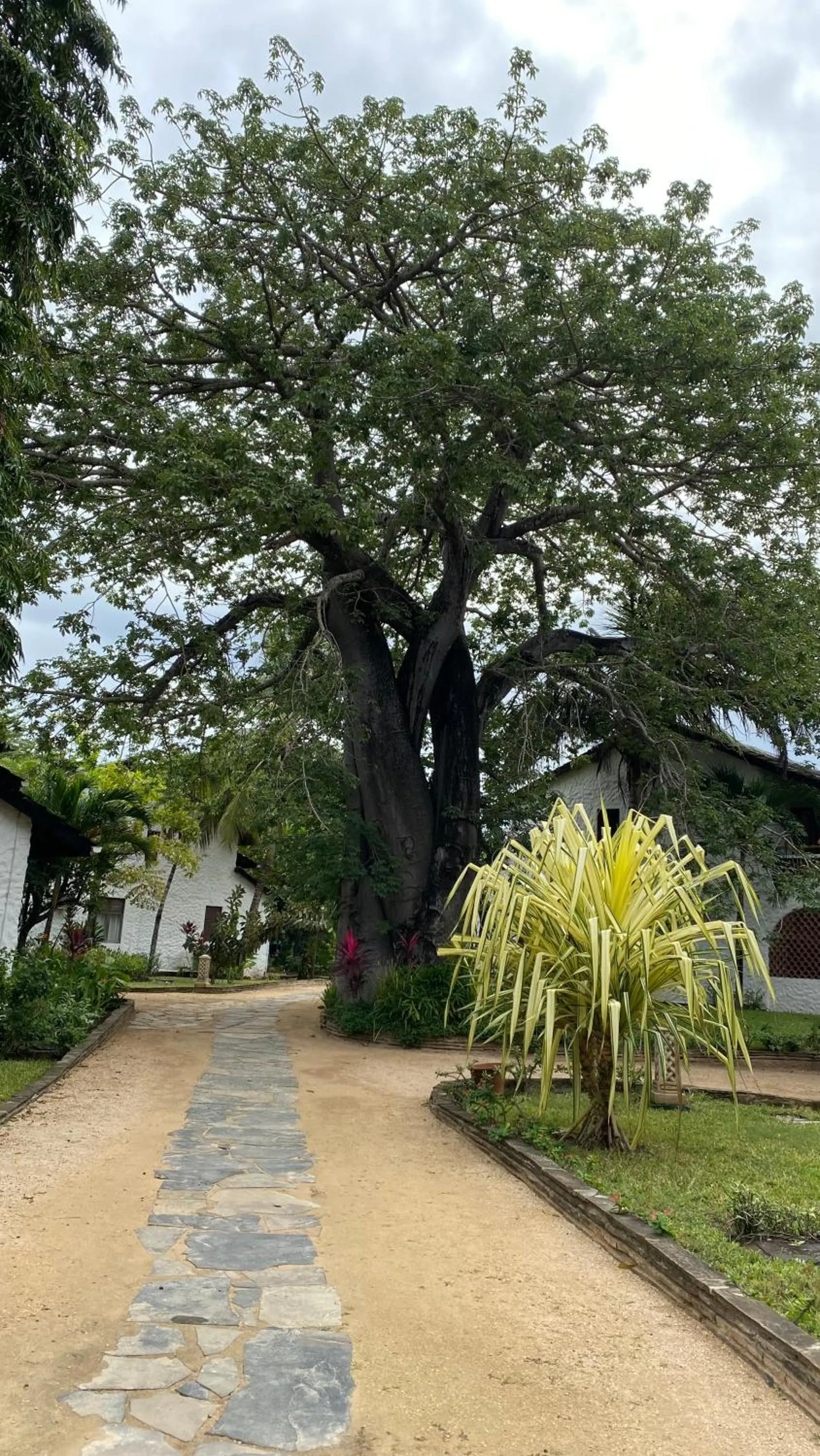 Property building in Pinewood Beach Resort and Spa