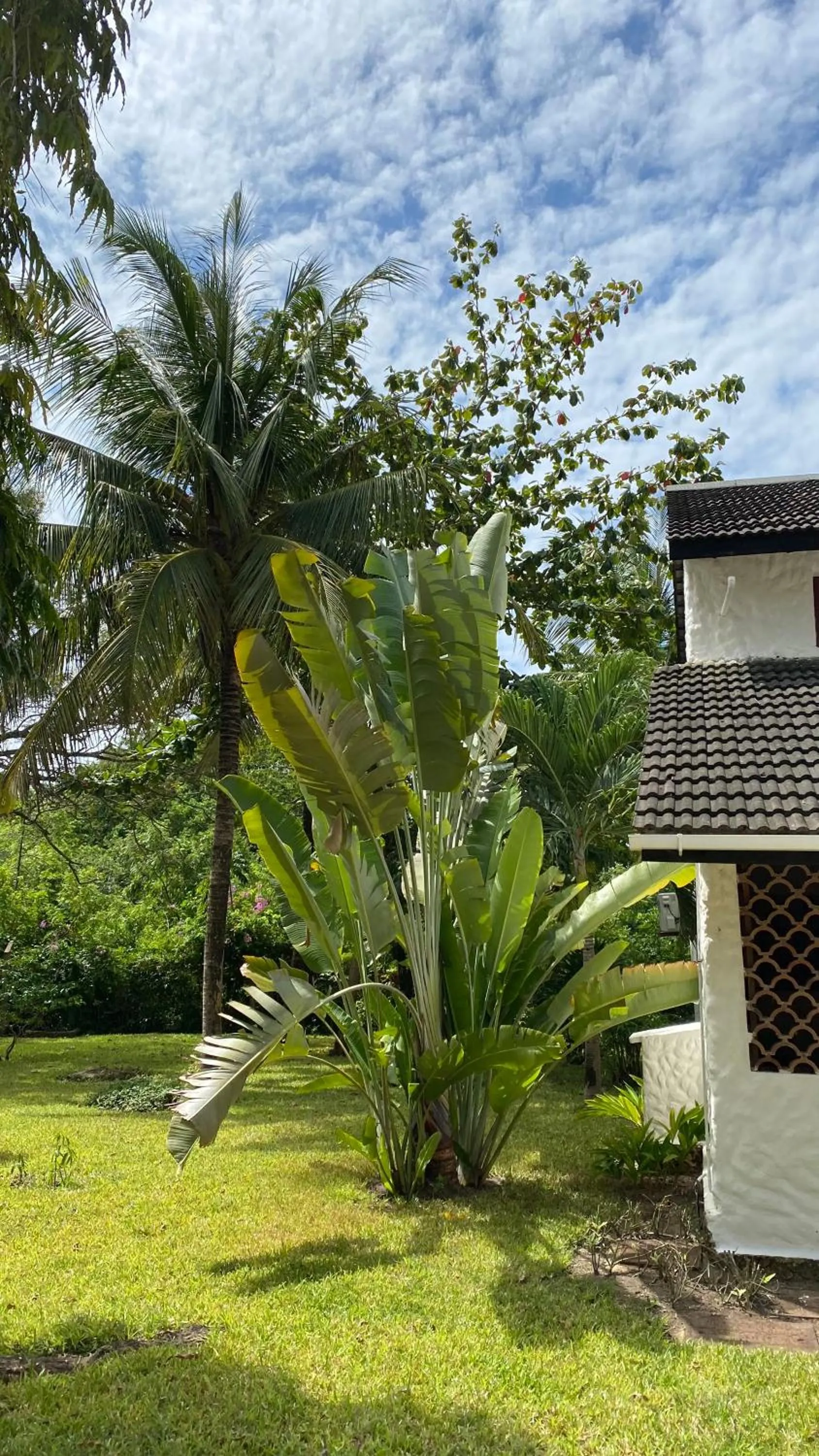 Garden in Pinewood Beach Resort and Spa