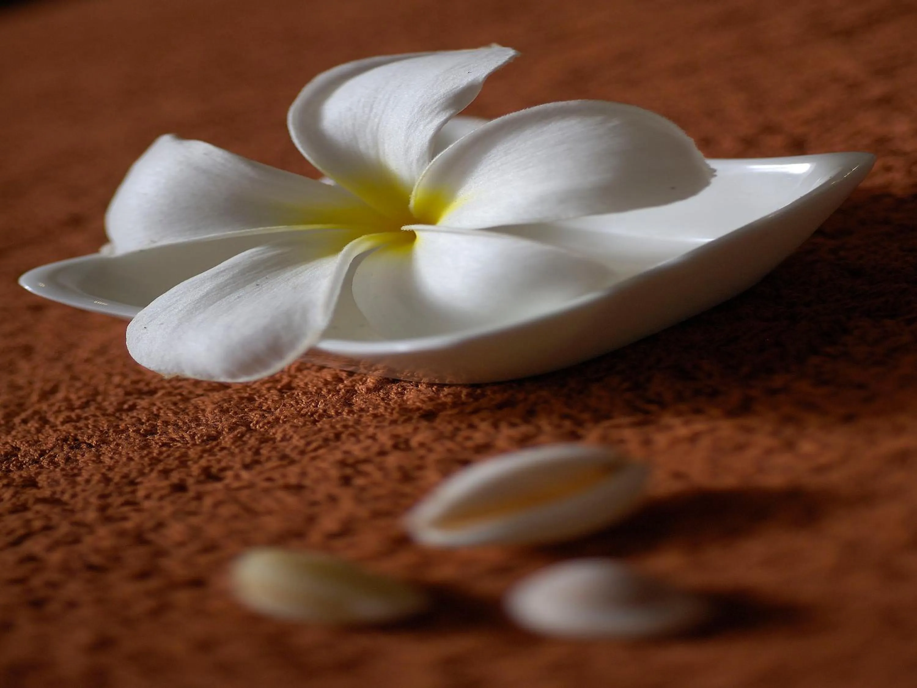 Spa and wellness centre/facilities in Pinewood Beach Resort and Spa