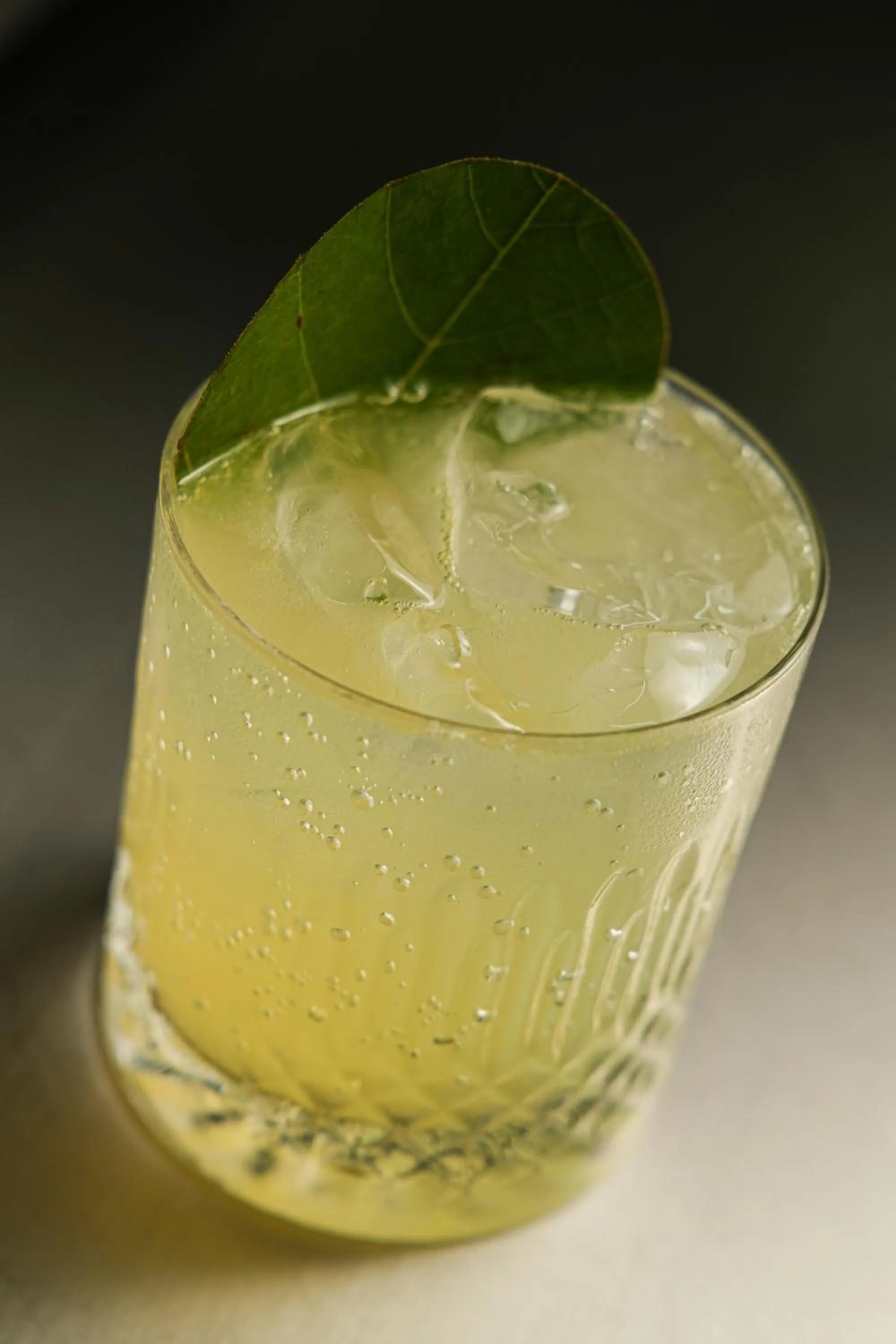 Drinks in Trobbu Boutique Collection Tulum - All inclusive