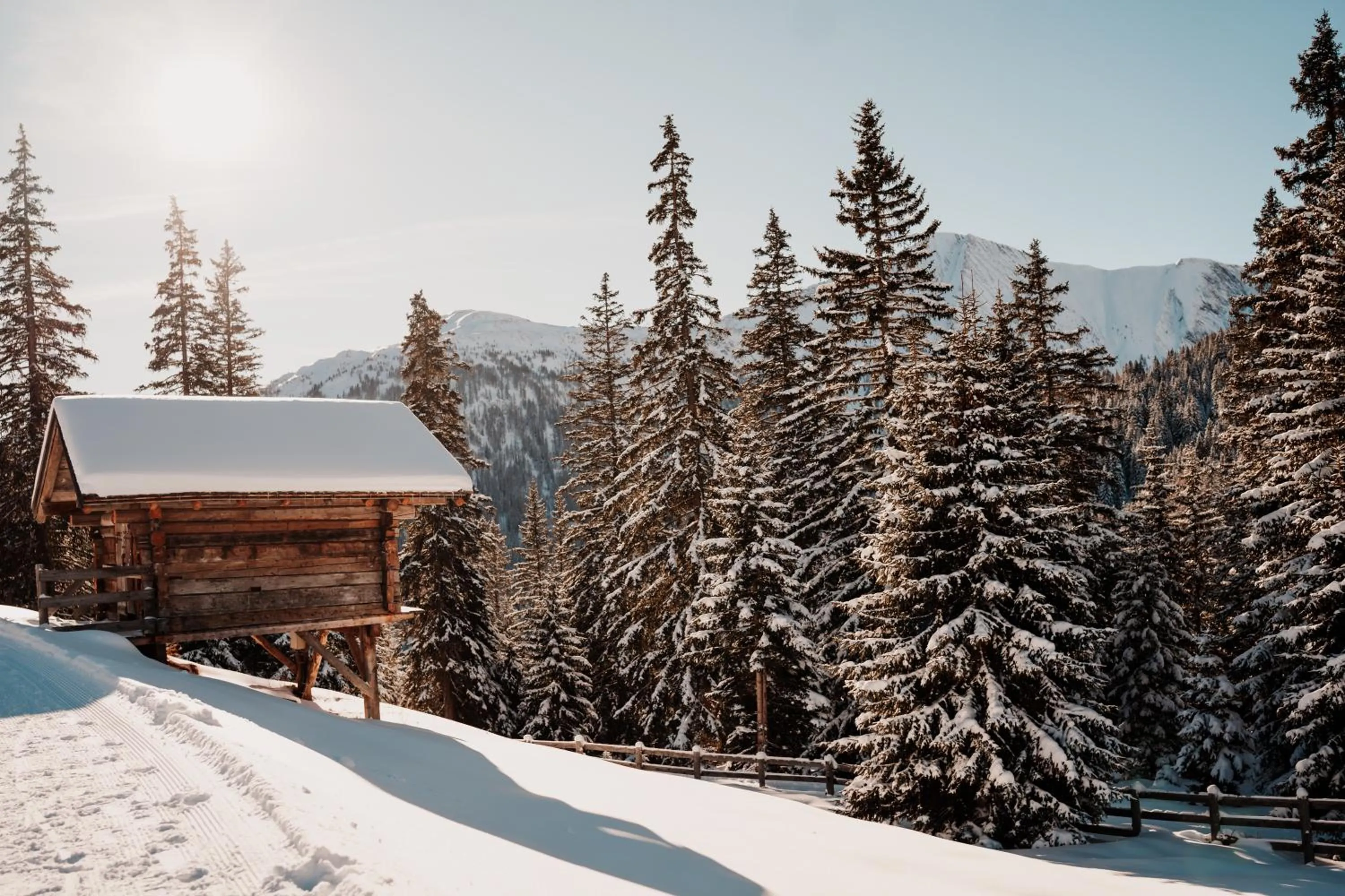 Area and facilities in Kinderhotel Laderhof