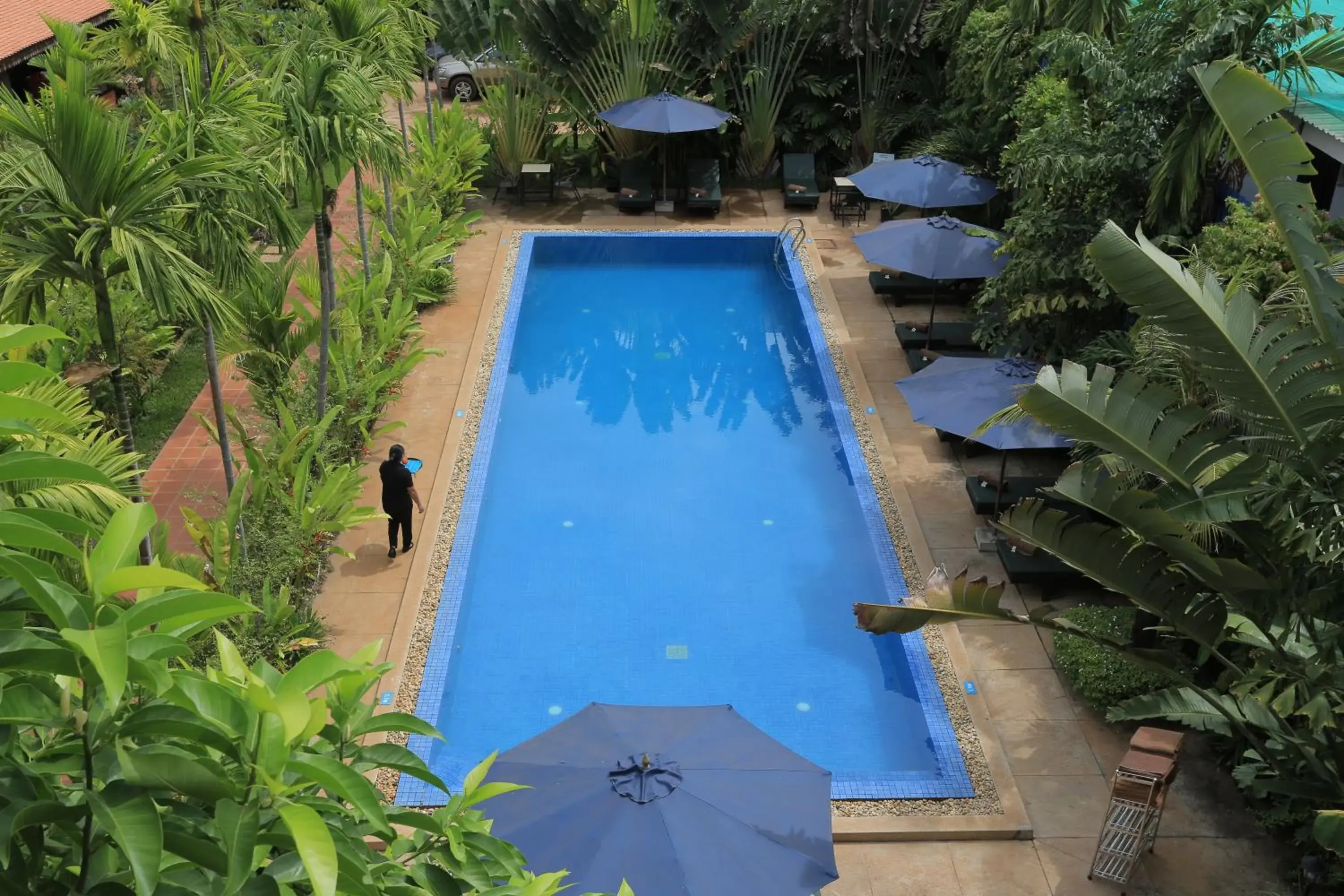 Swimming pool, Pool View in Kouprey Hotel